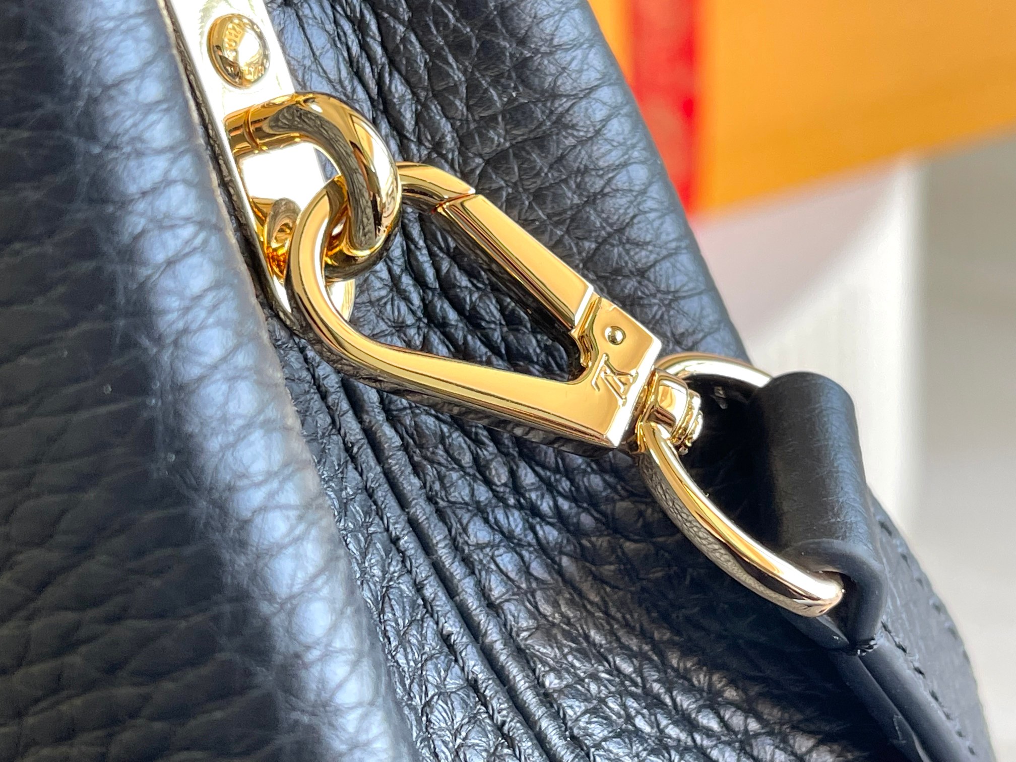 LV Bag