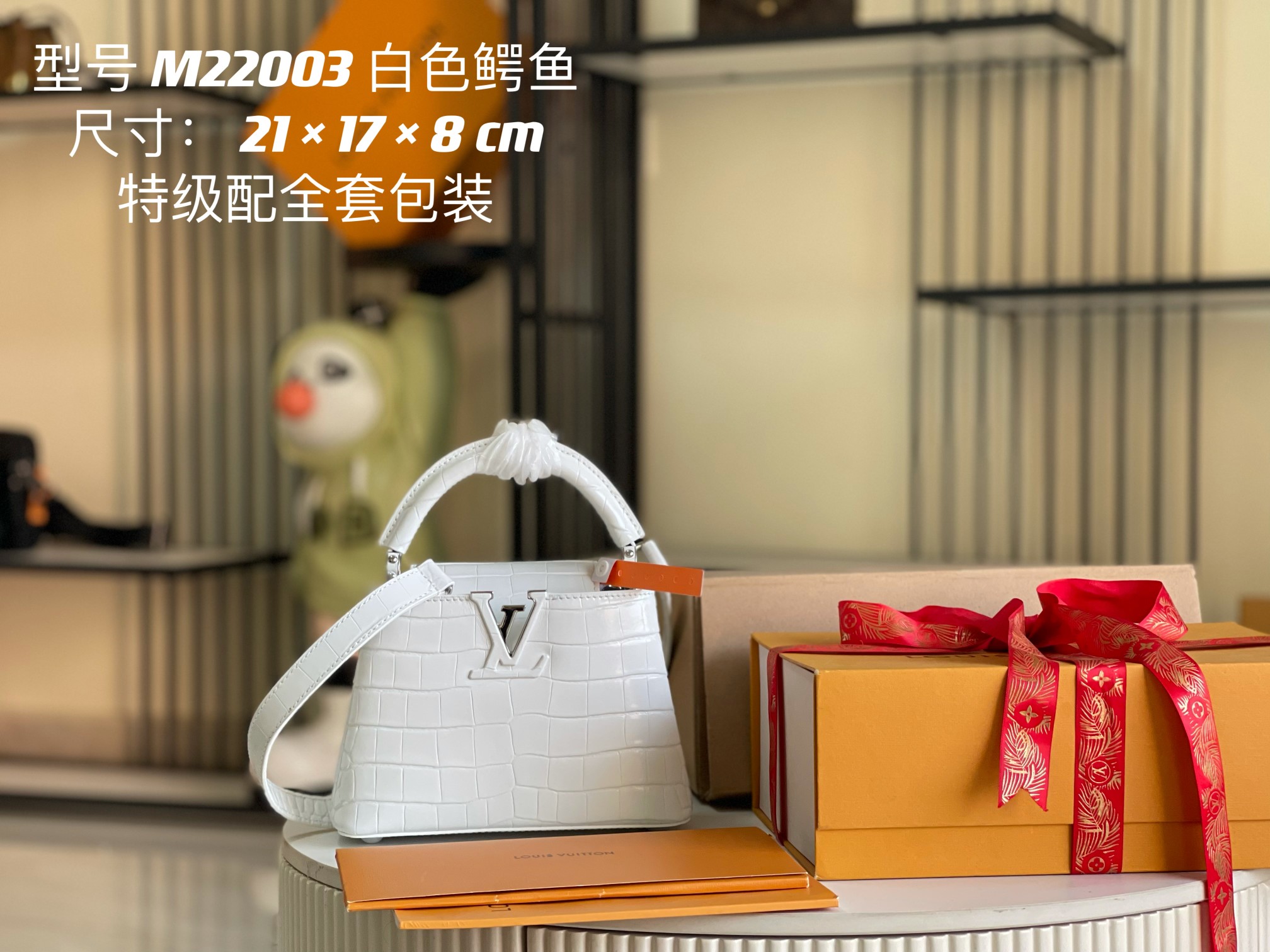 LV Bag