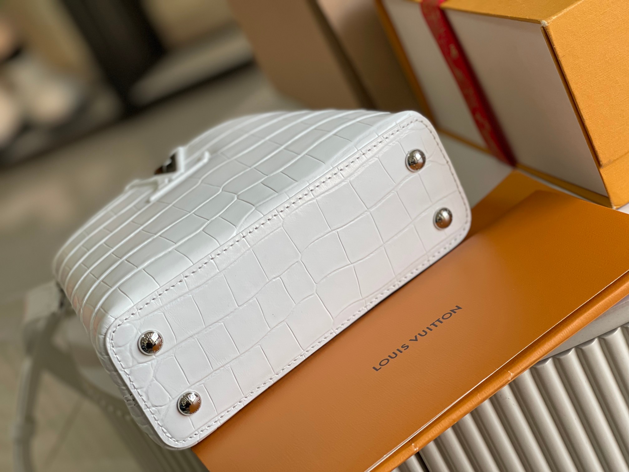 LV Bag
