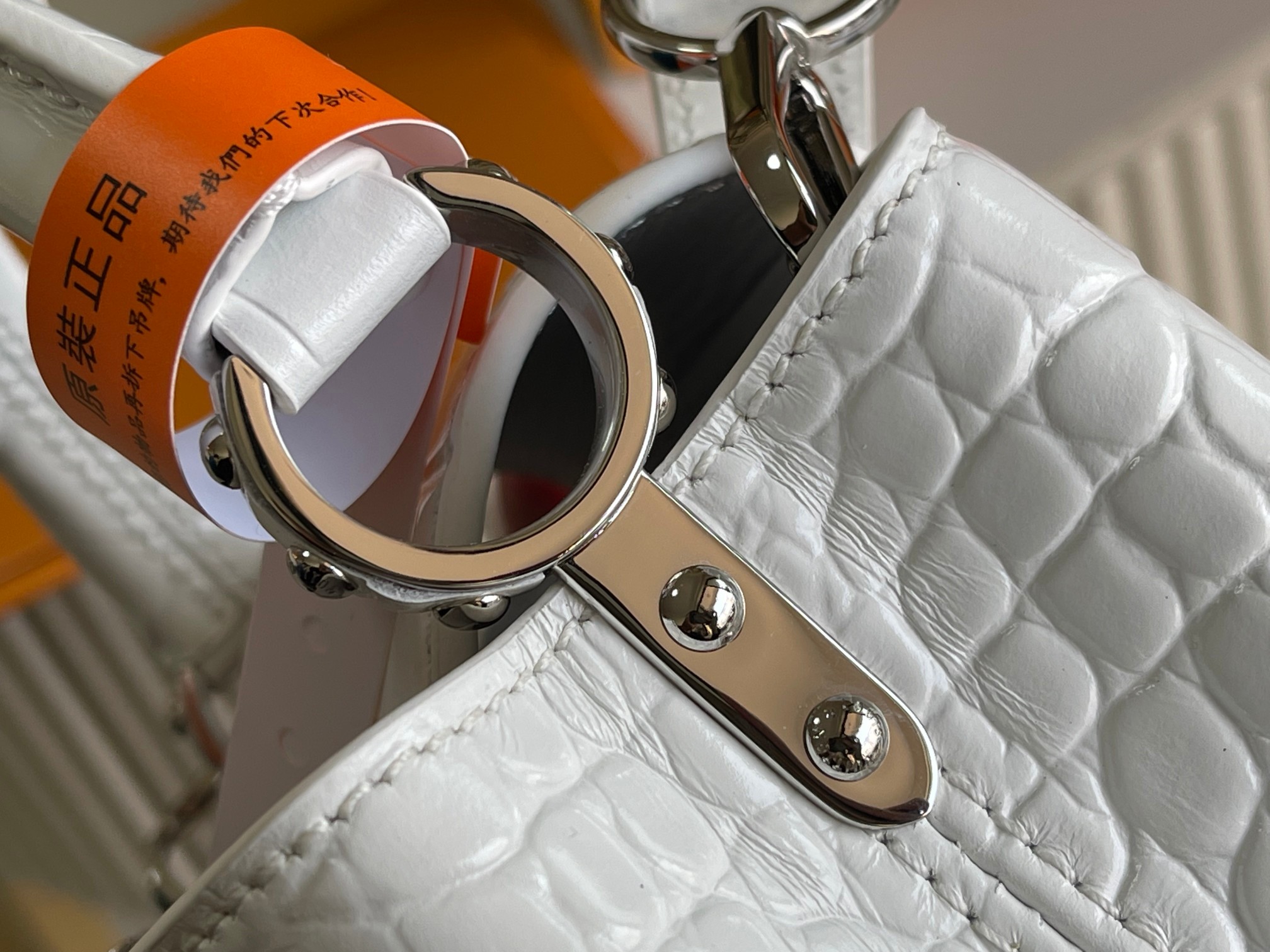 LV Bag