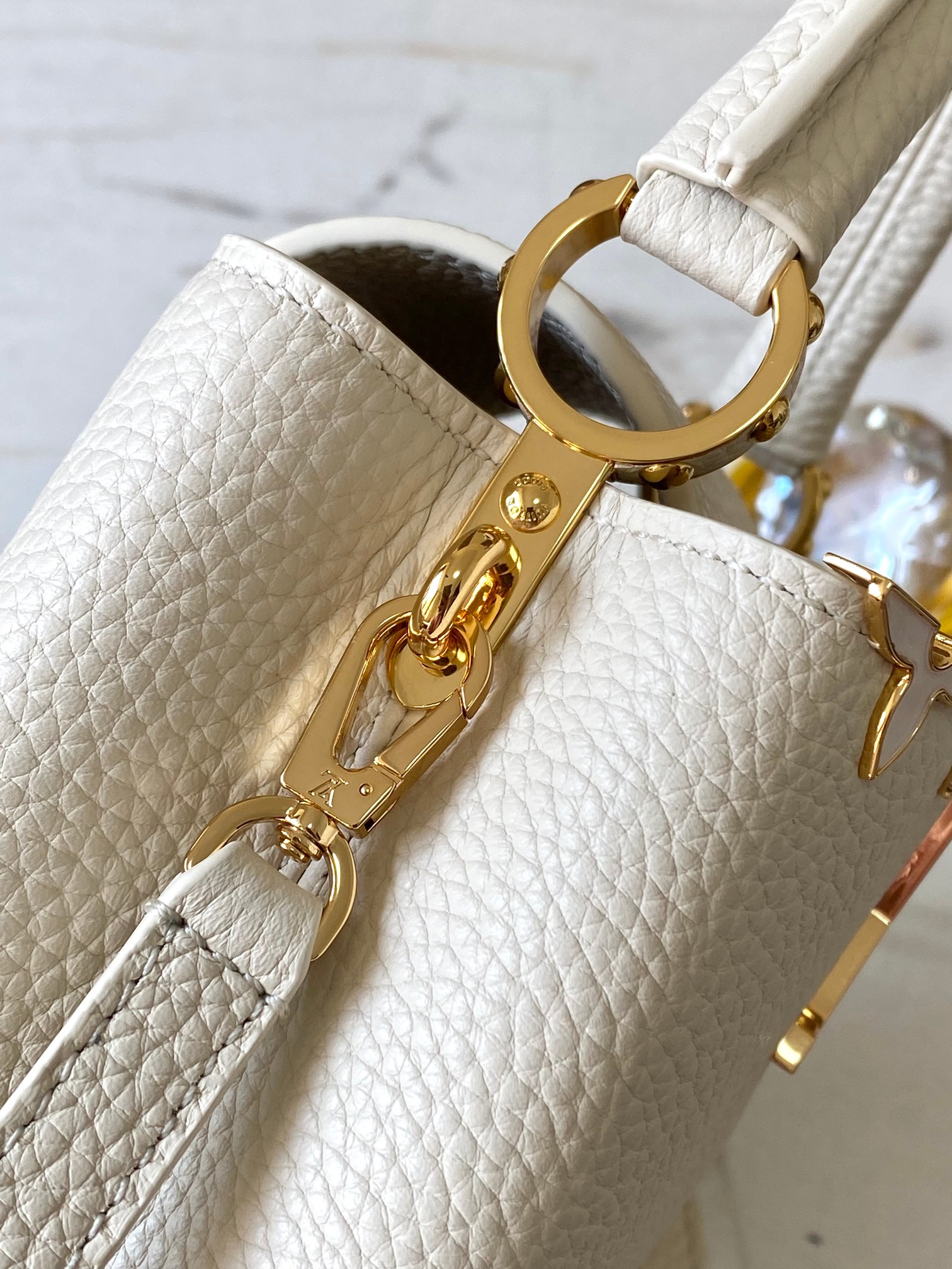 LV Bag