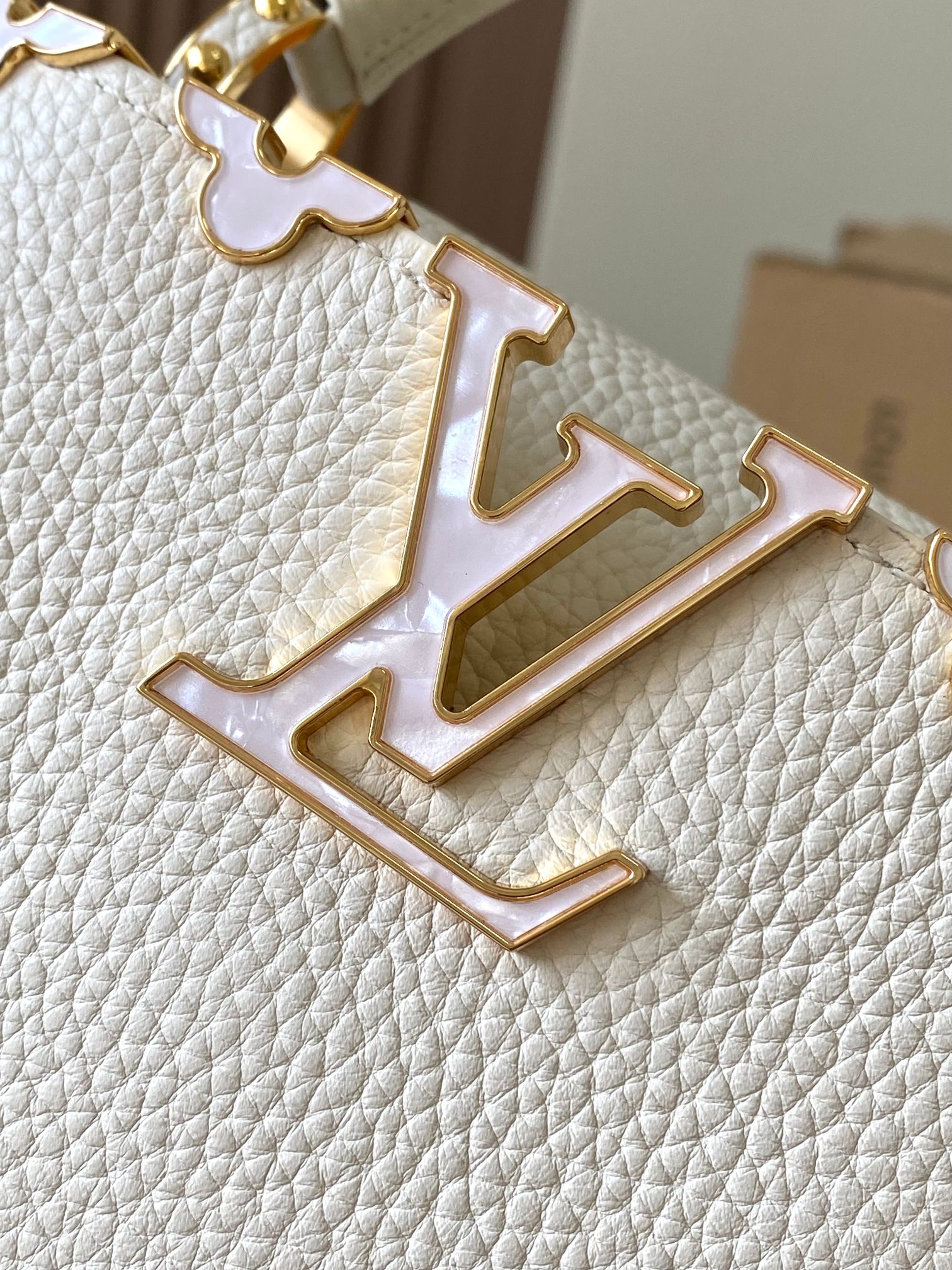 LV Bag