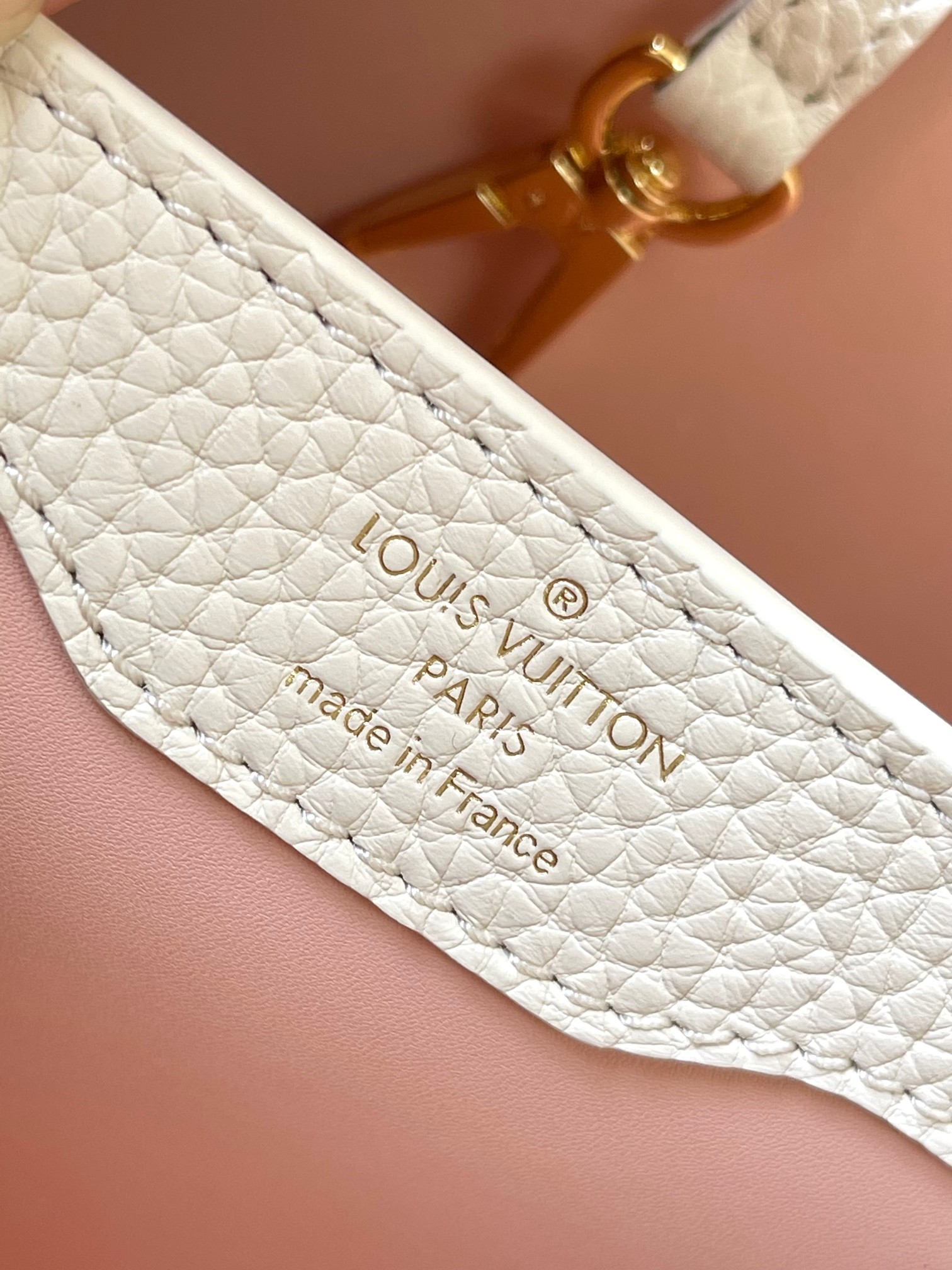 LV Bag