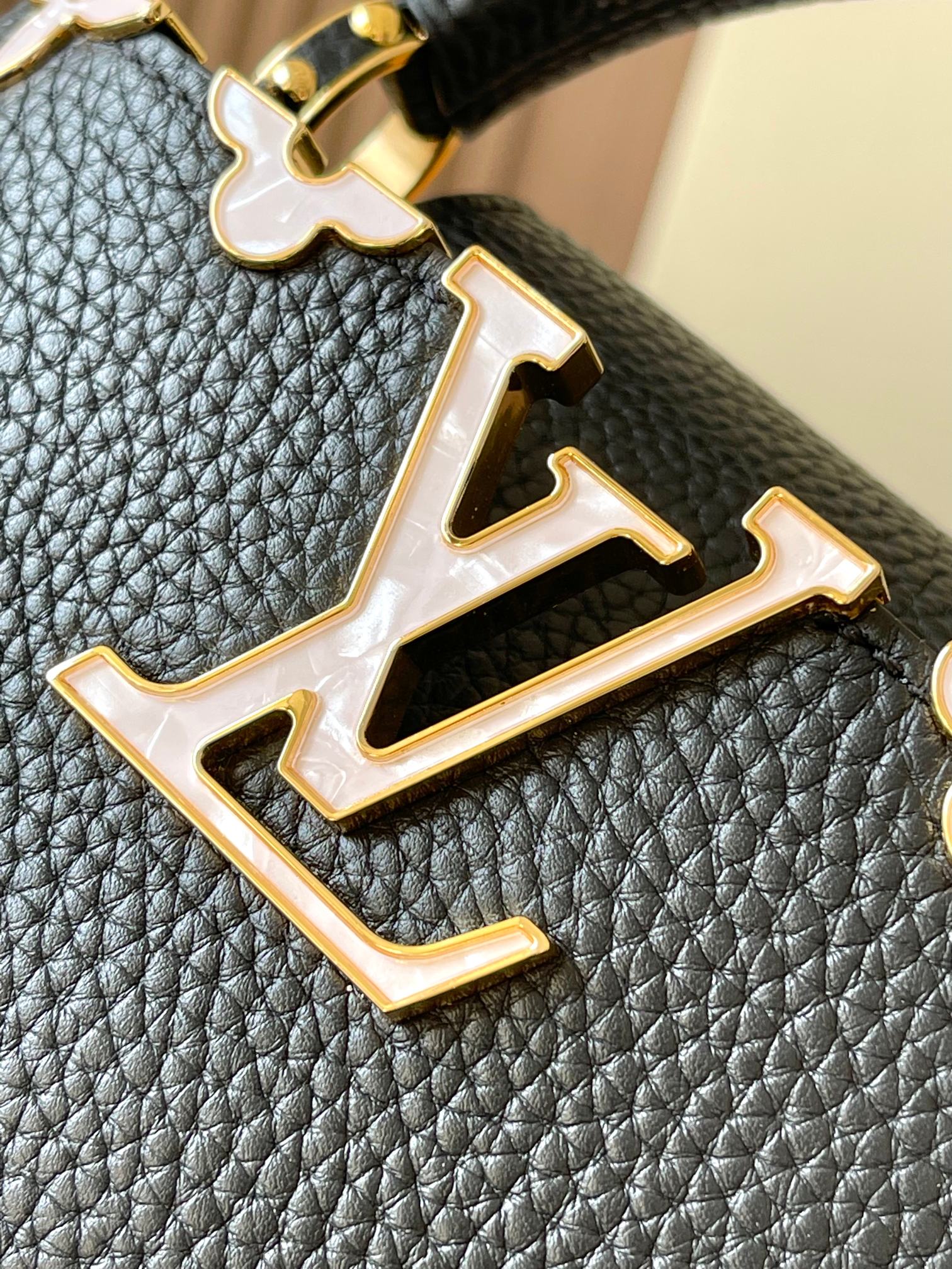 LV Bag