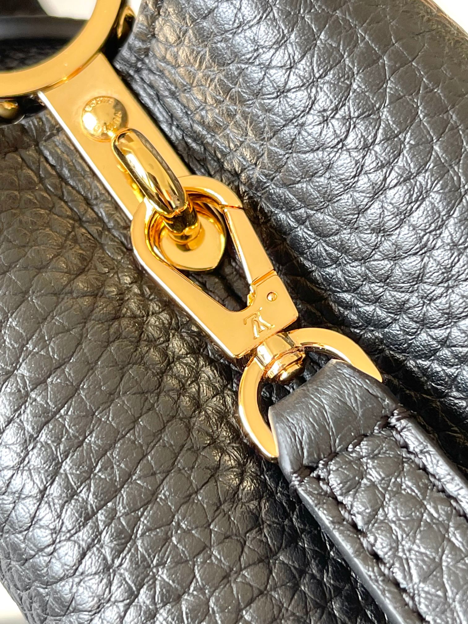 LV Bag