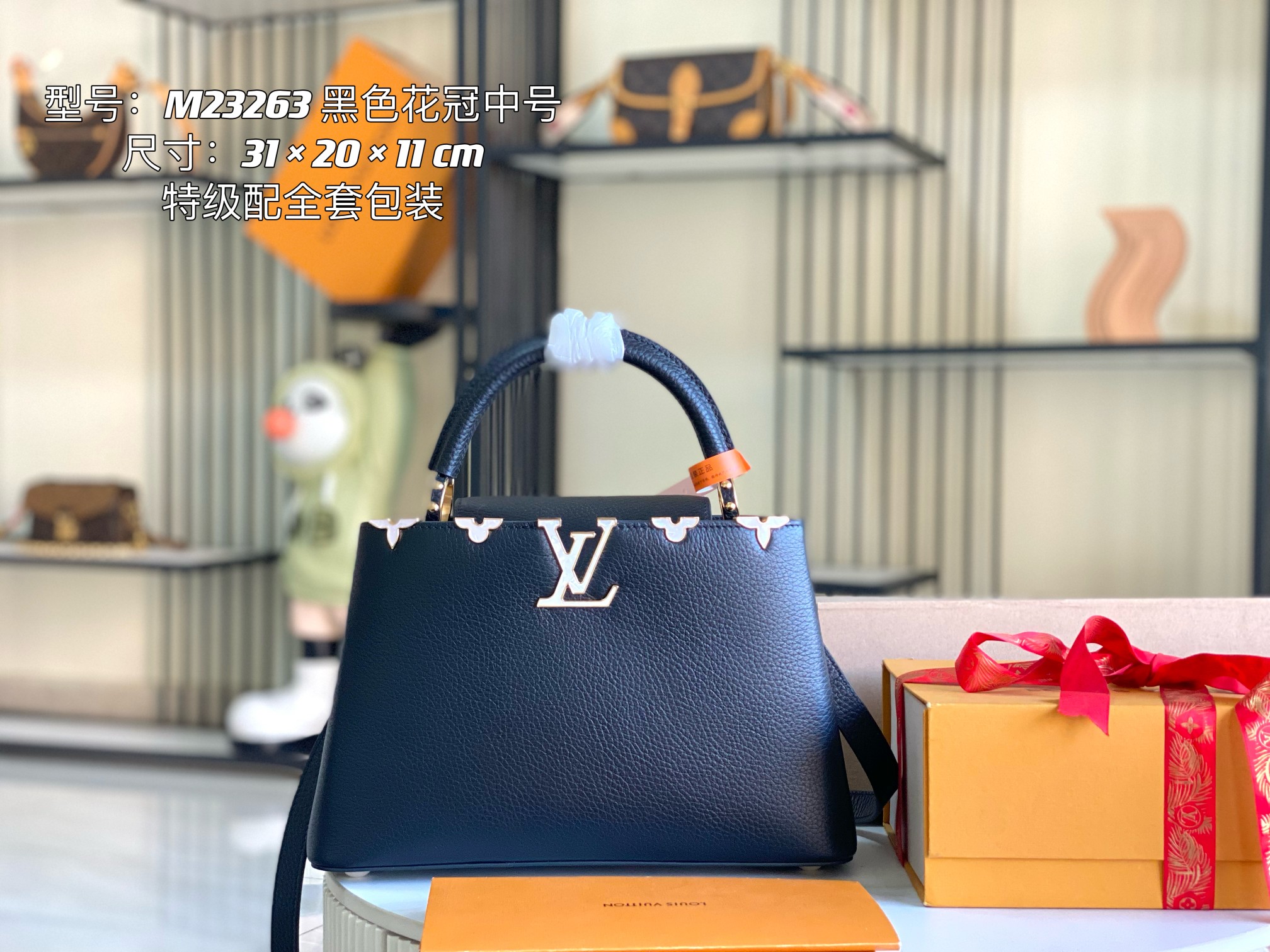 LV Bag