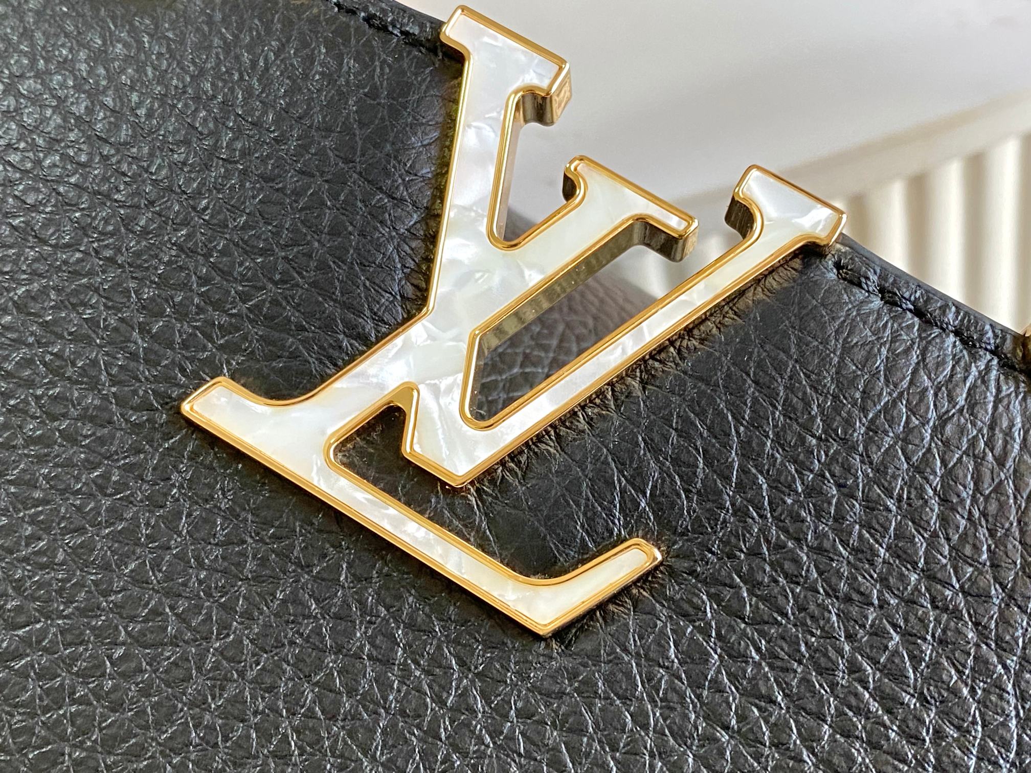 LV Bag