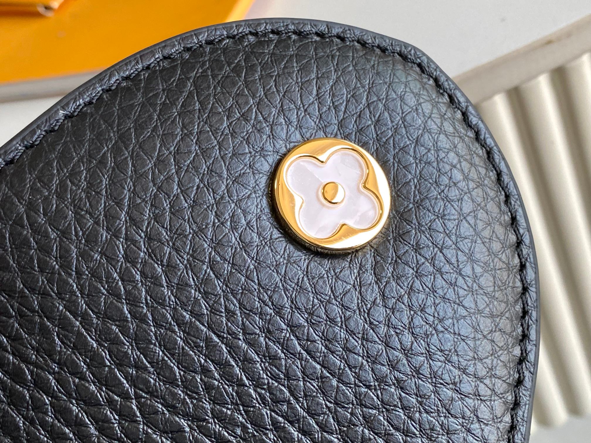LV Bag