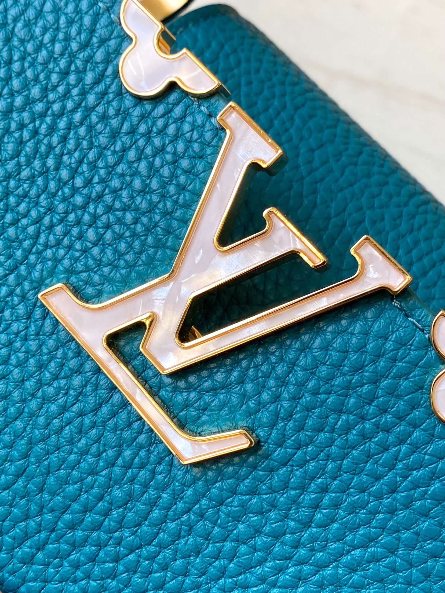 LV Bag