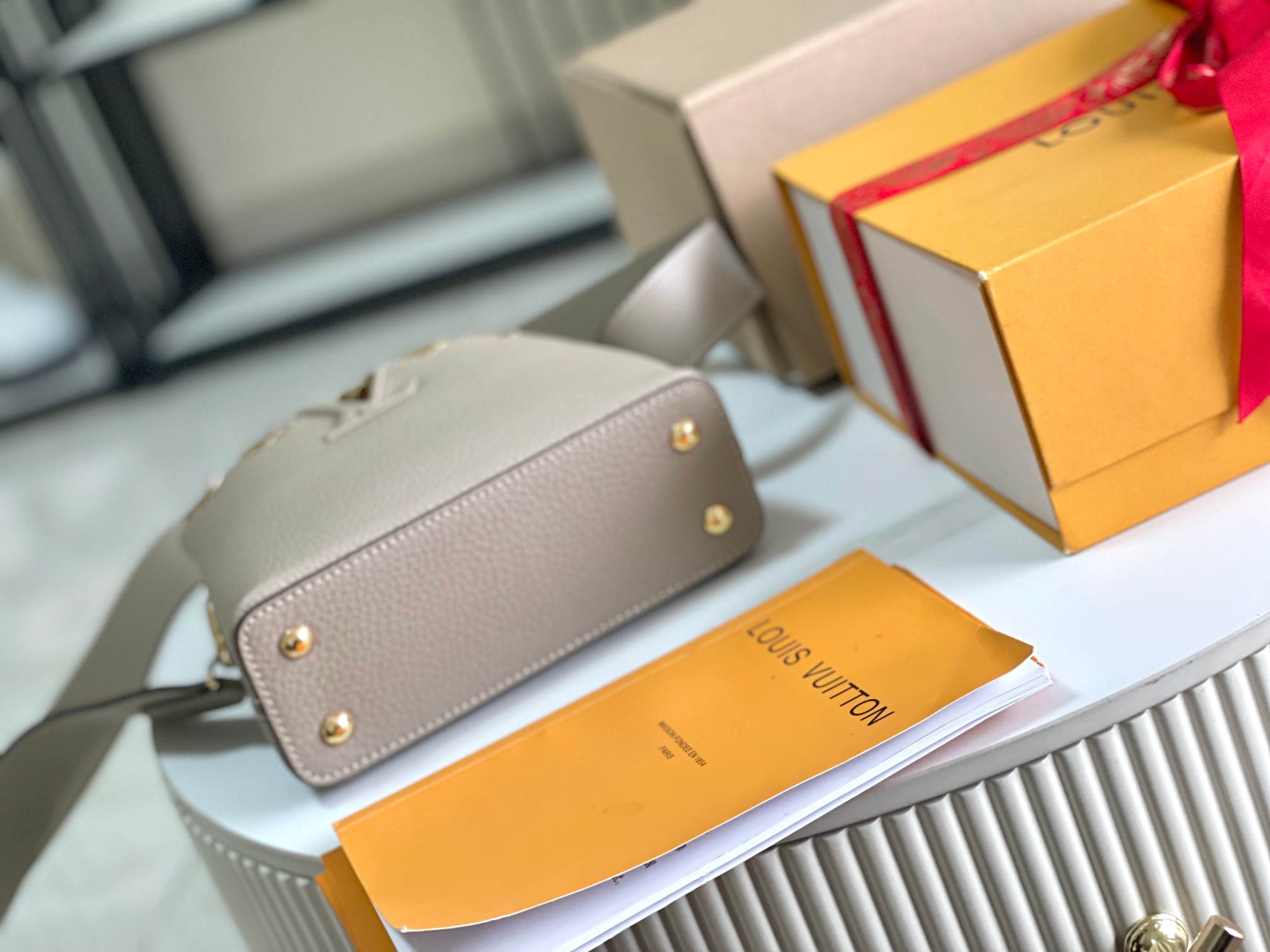 LV Bag