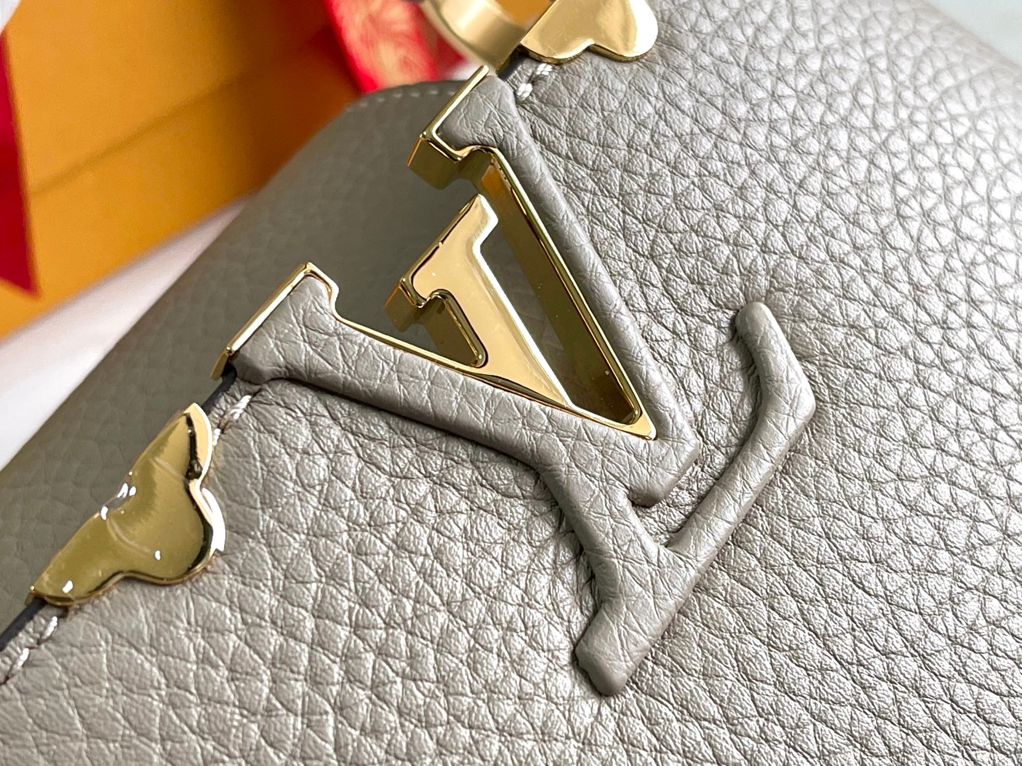 LV Bag