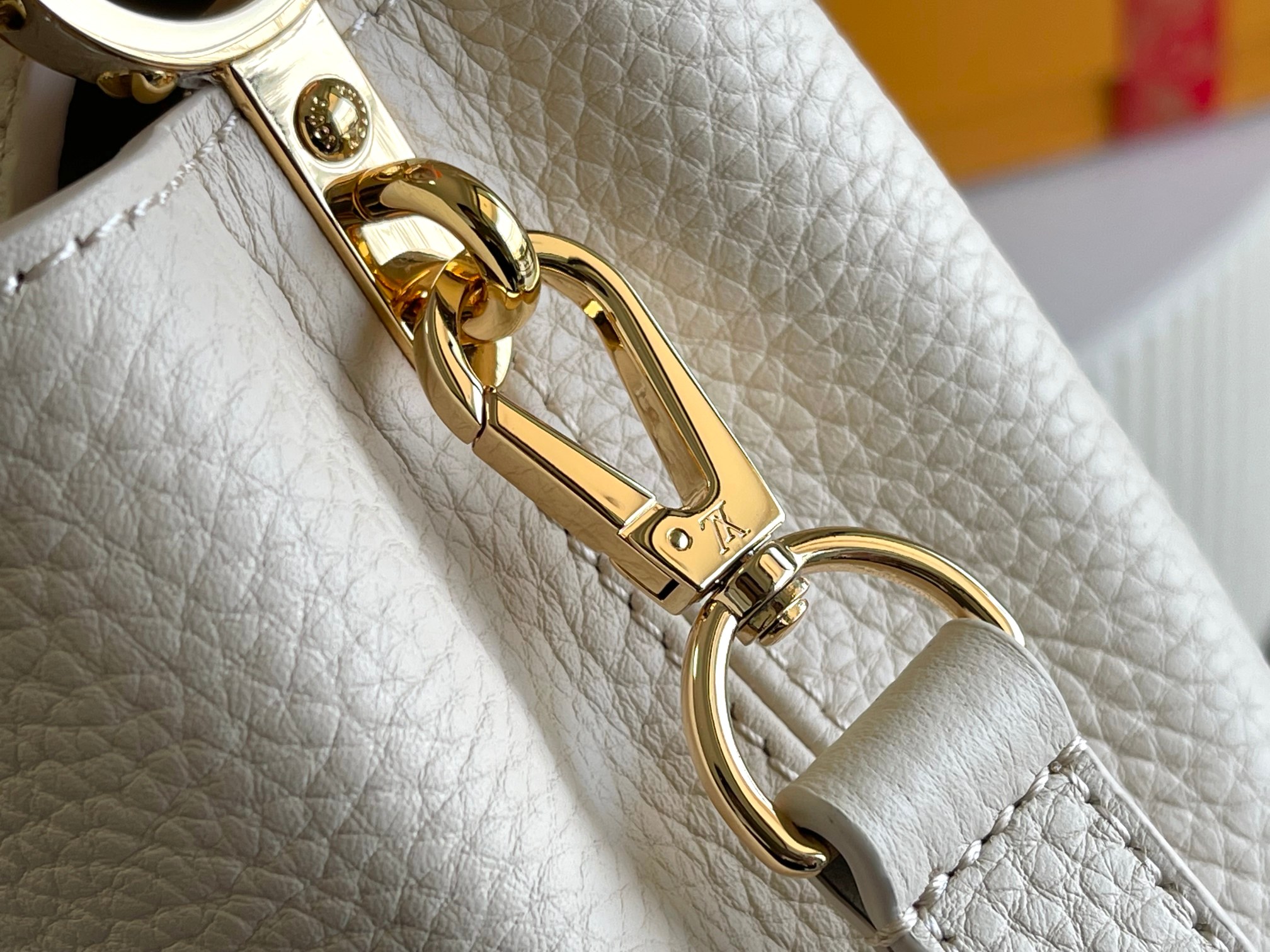 LV Bag