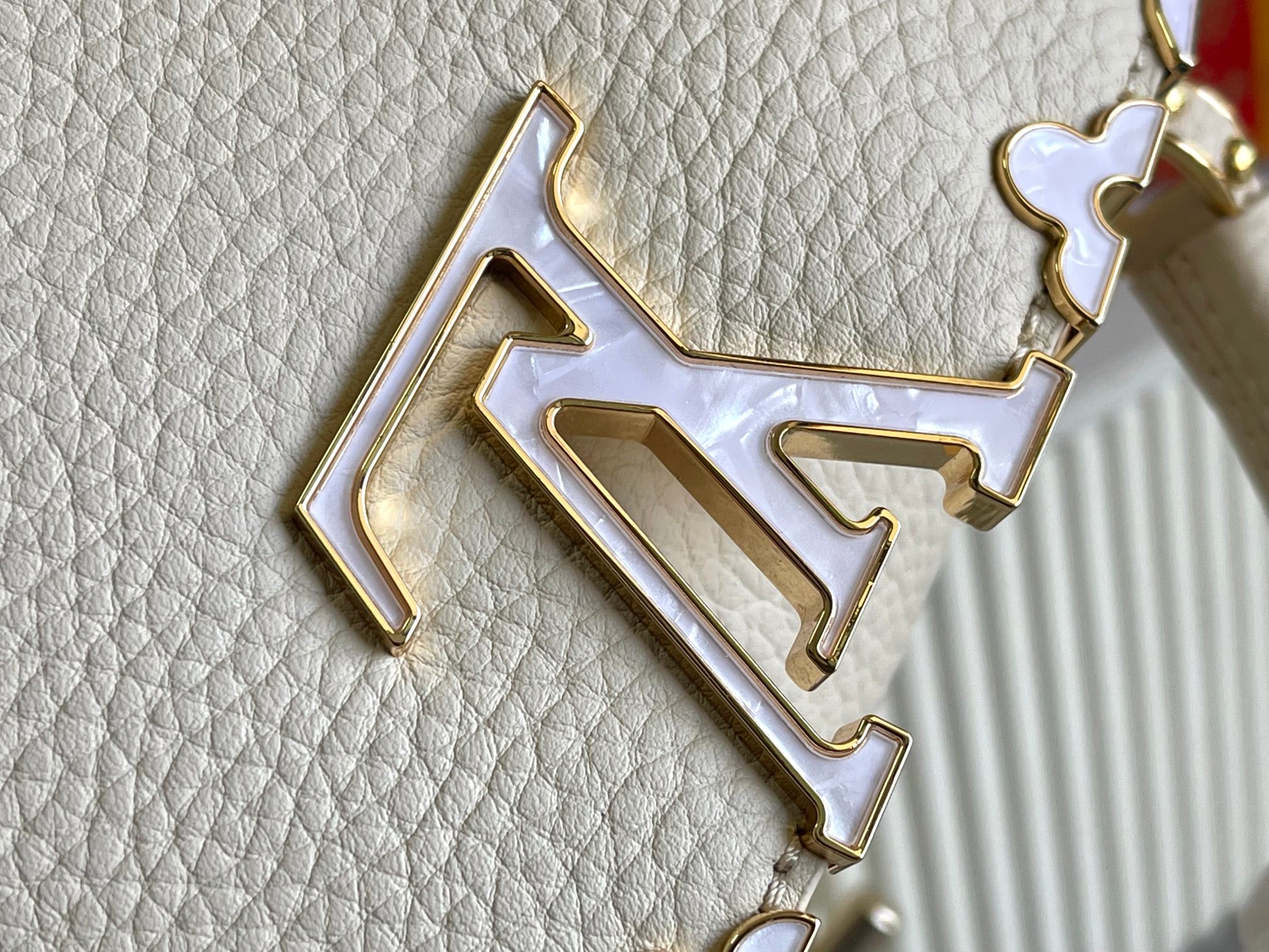 LV Bag
