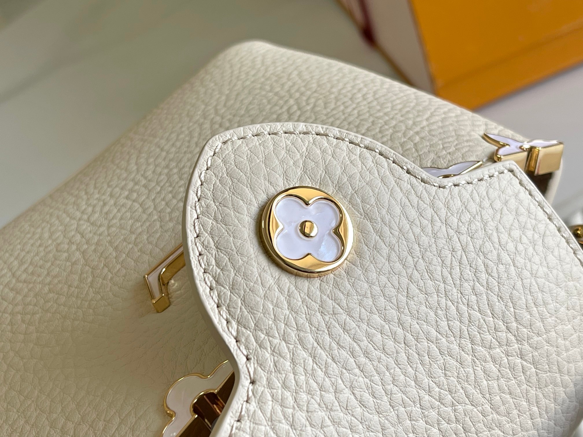 LV Bag