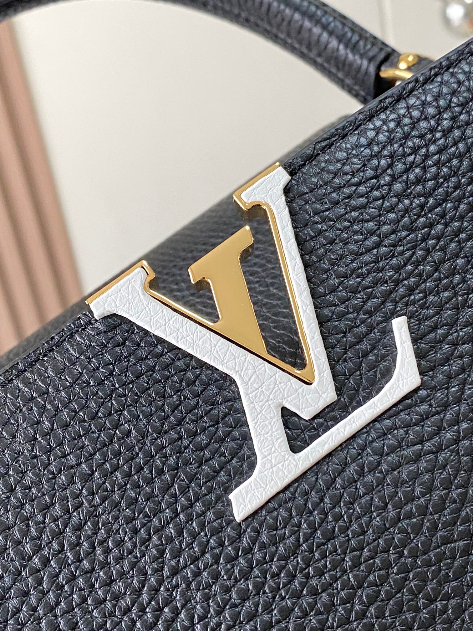 LV Bag