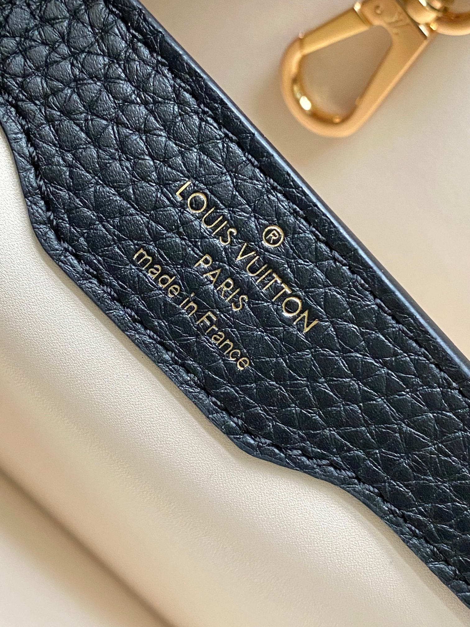 LV Bag