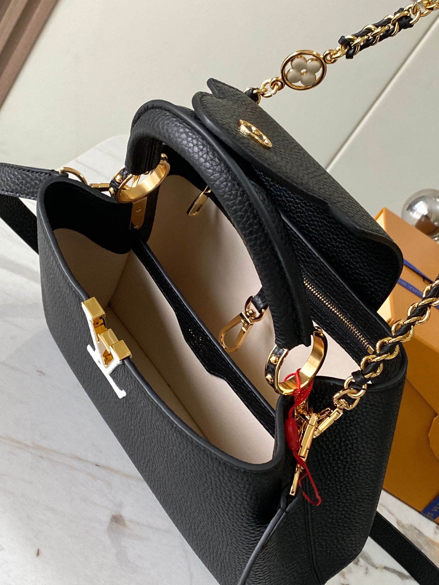 LV Bag