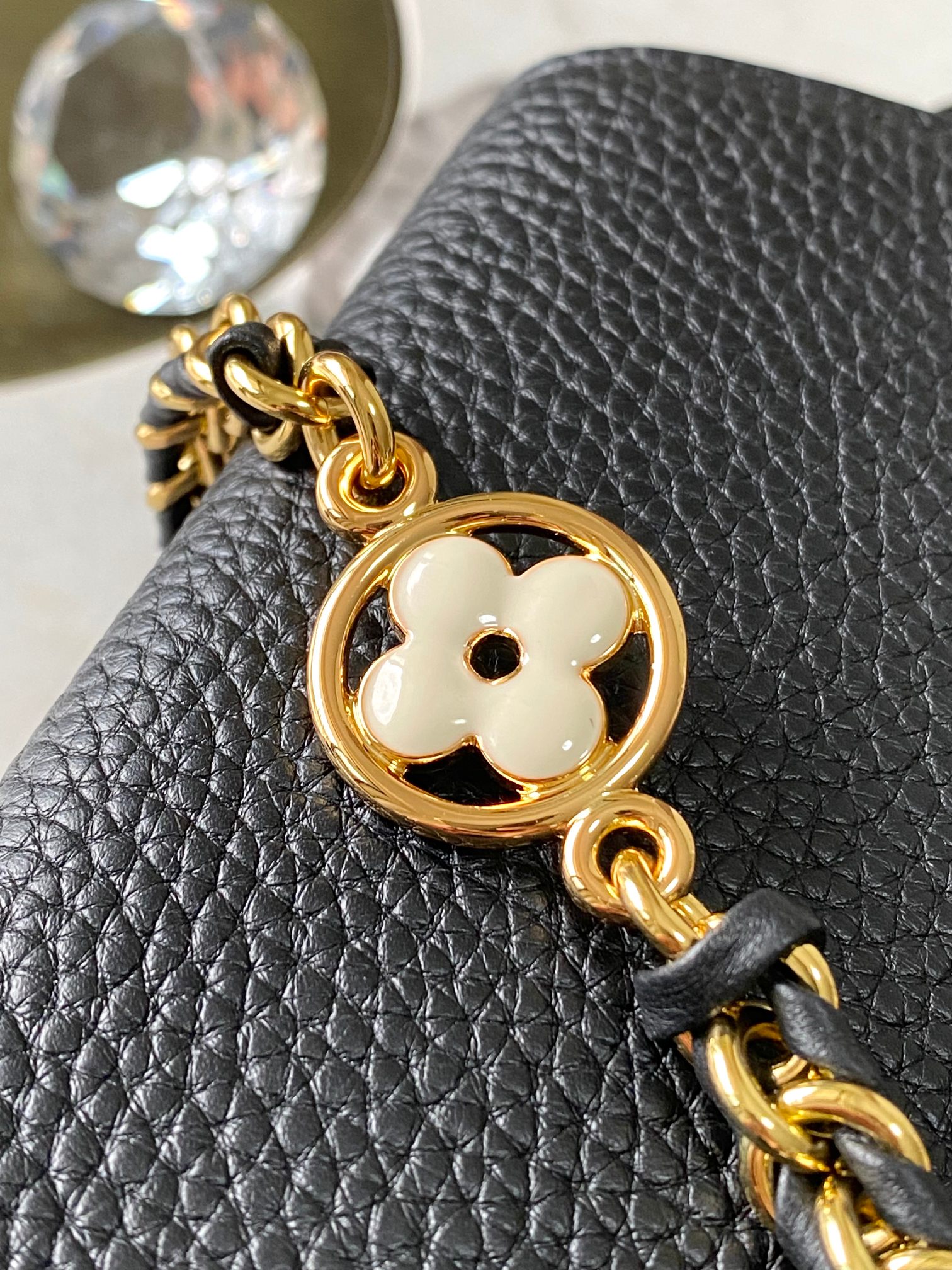 LV Bag