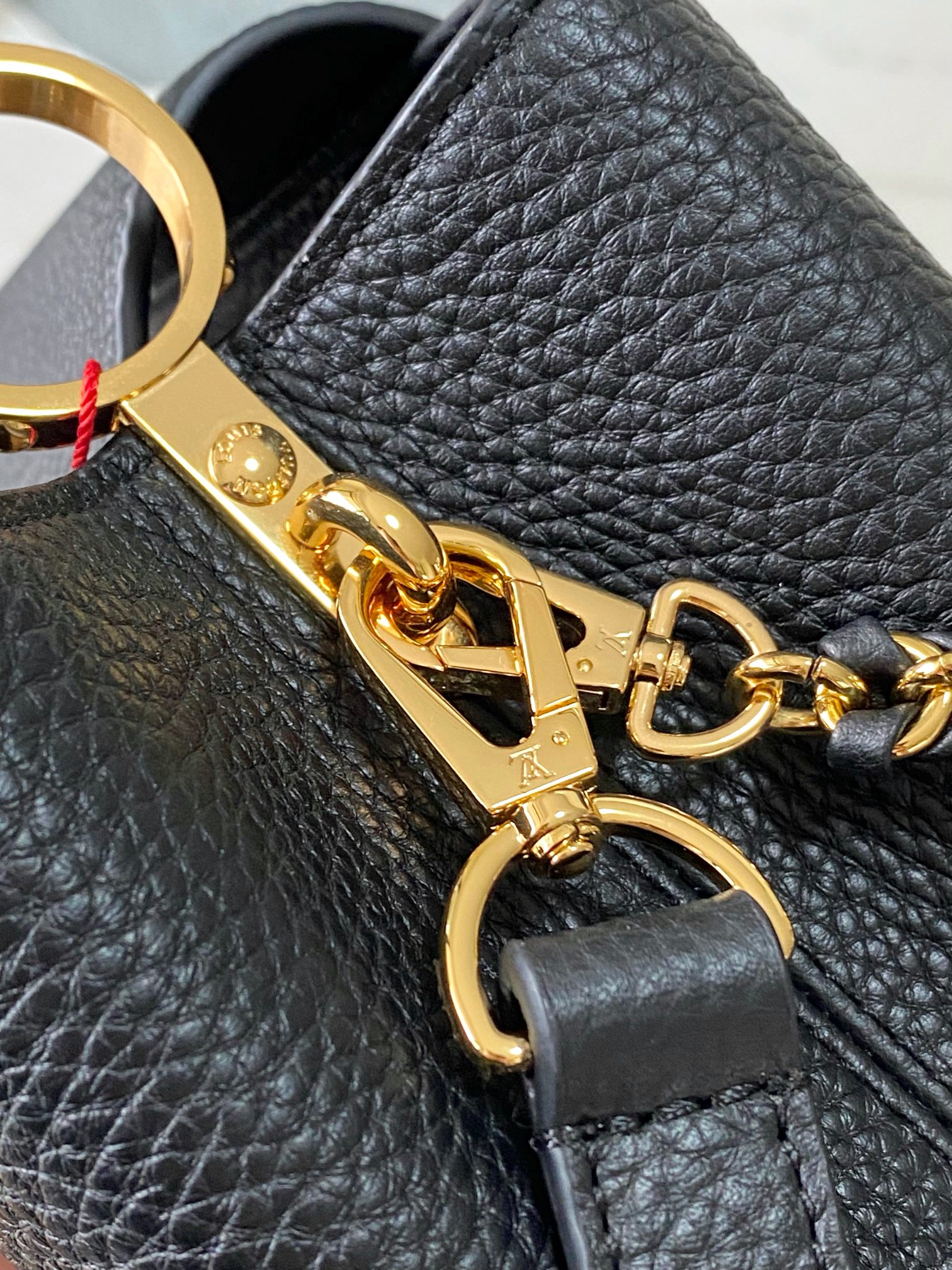LV Bag