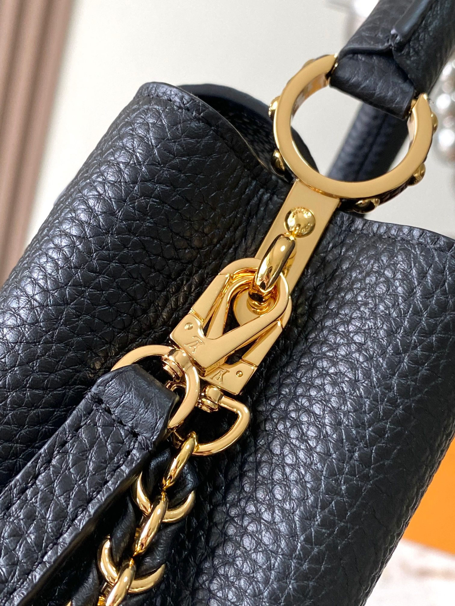 LV Bag