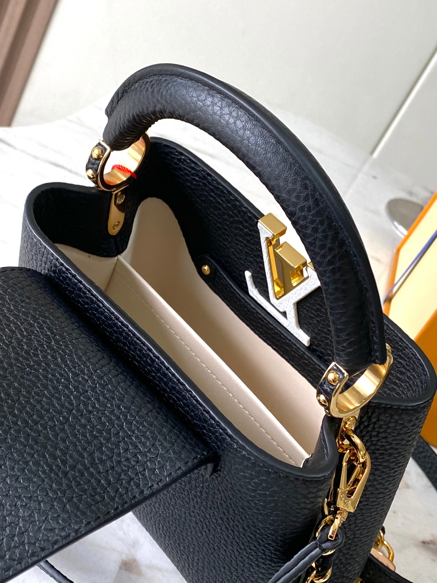 LV Bag