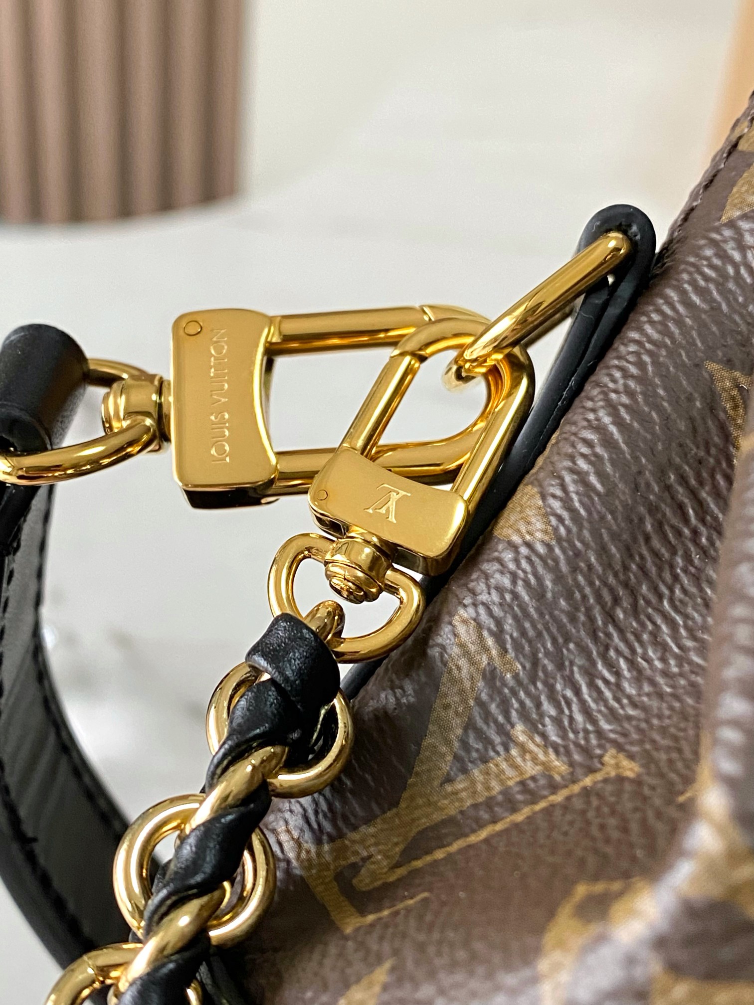 LV Bag