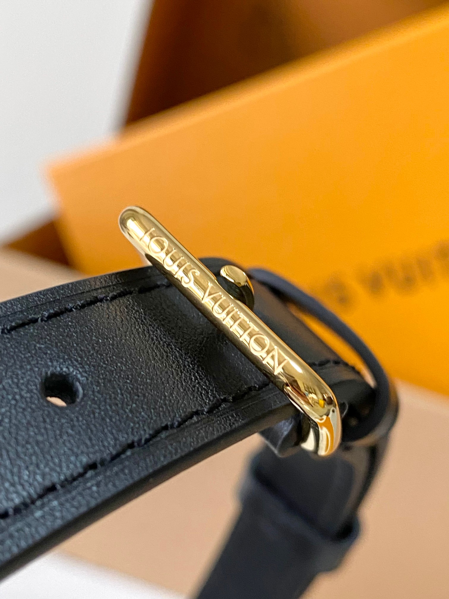 LV Bag