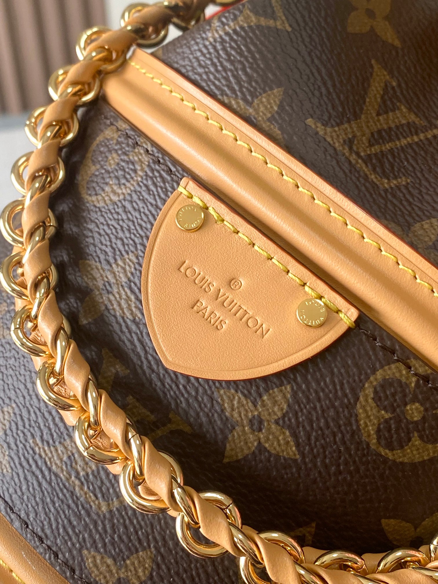 LV Bag