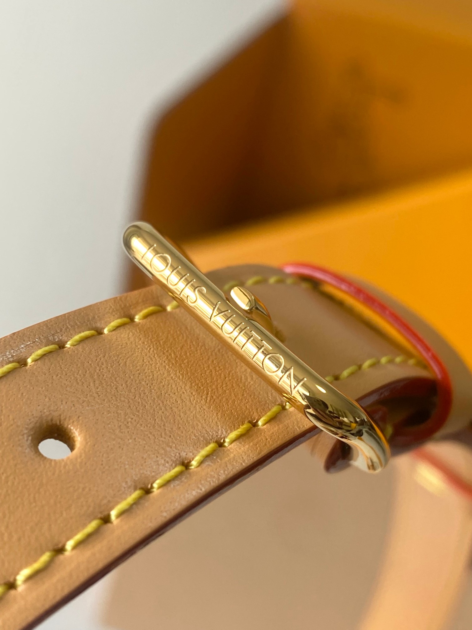 LV Bag