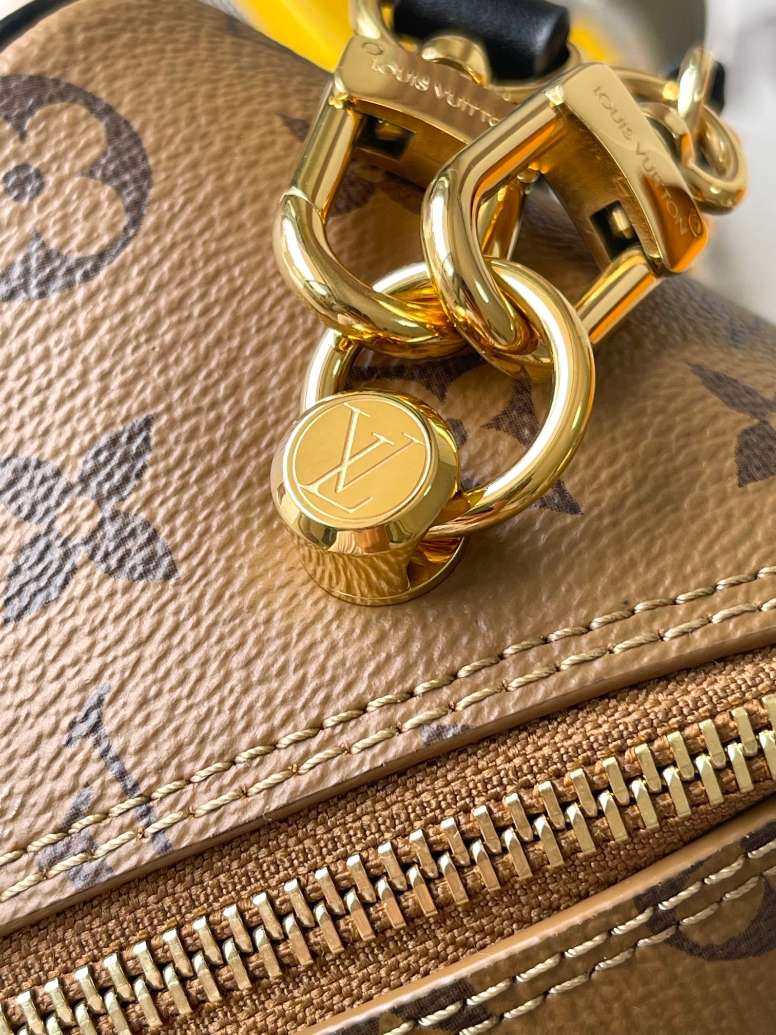 LV Bag