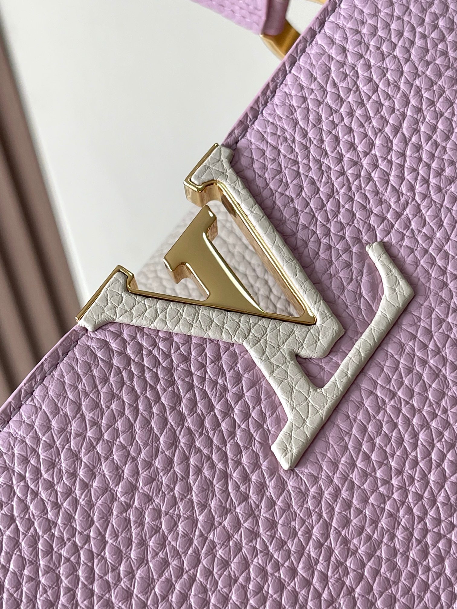 LV Bag