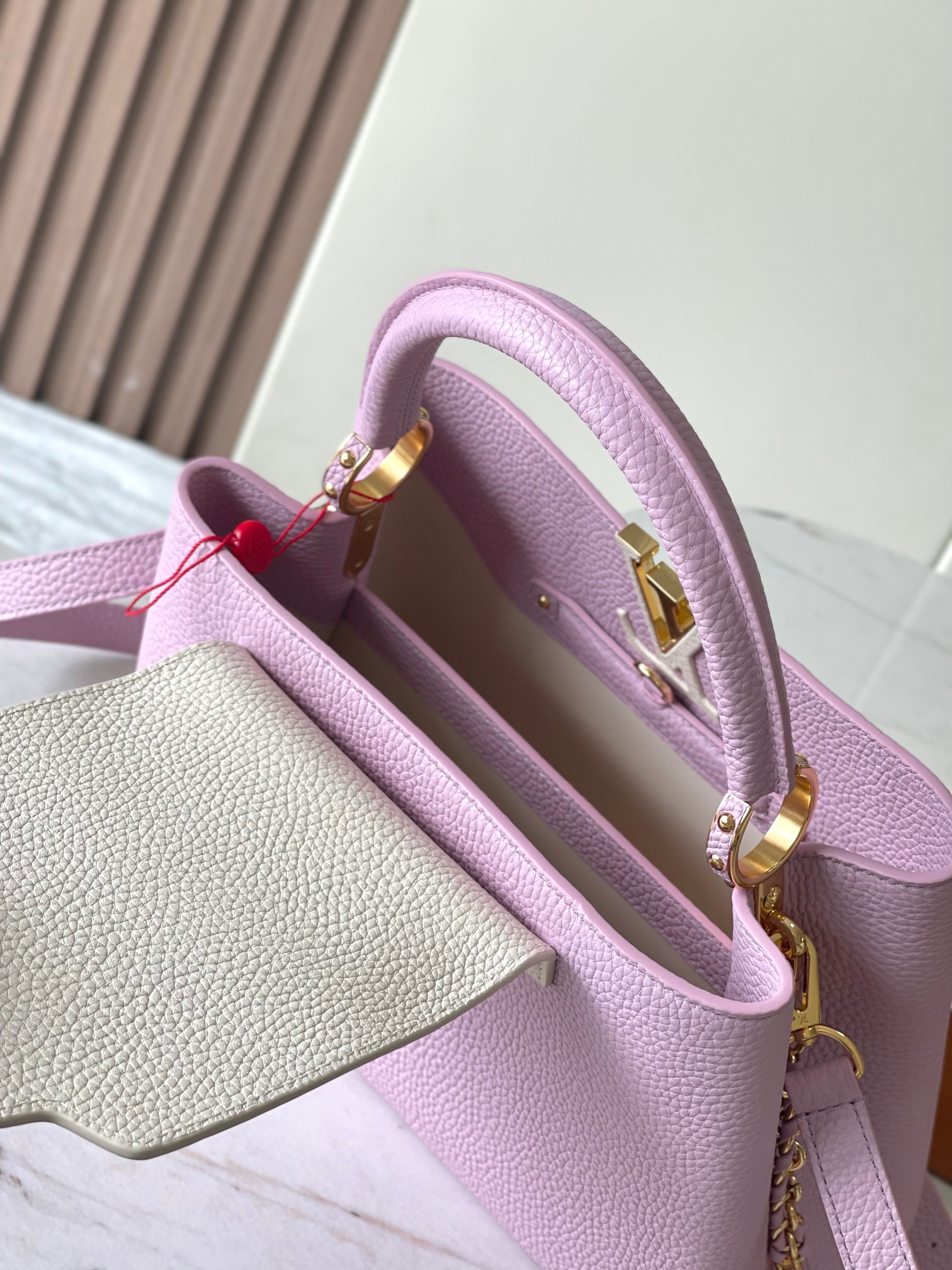 LV Bag