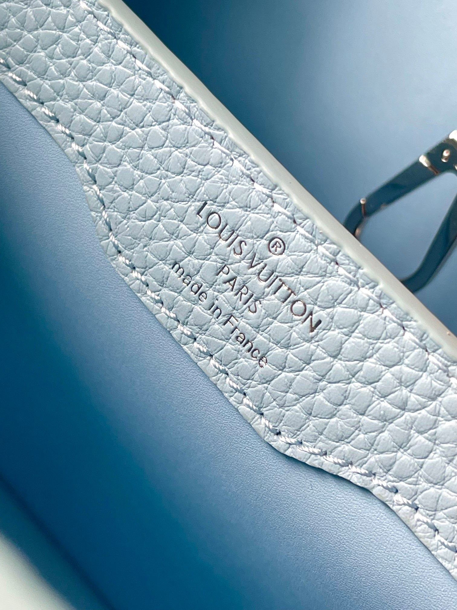 LV Bag
