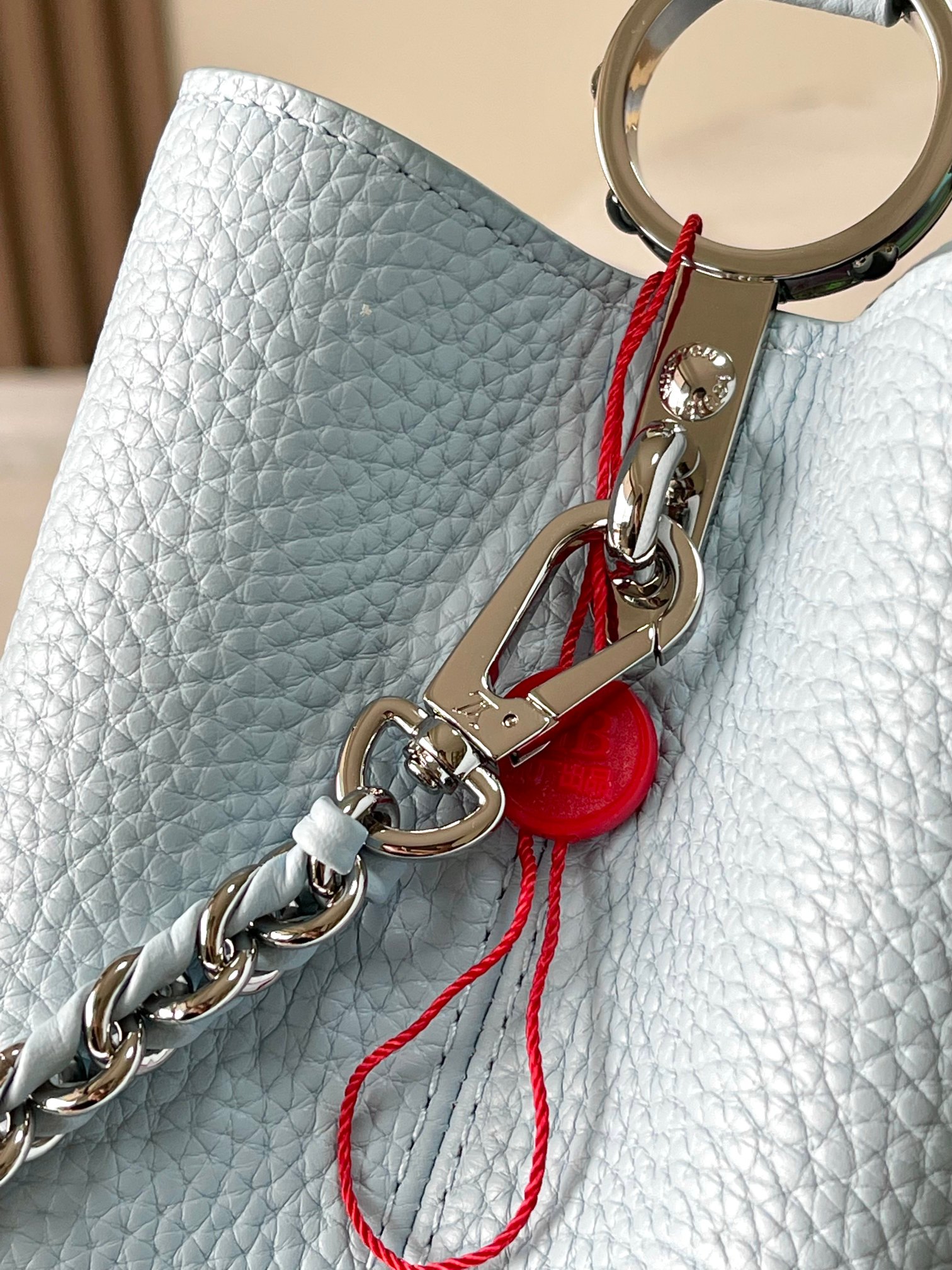 LV Bag