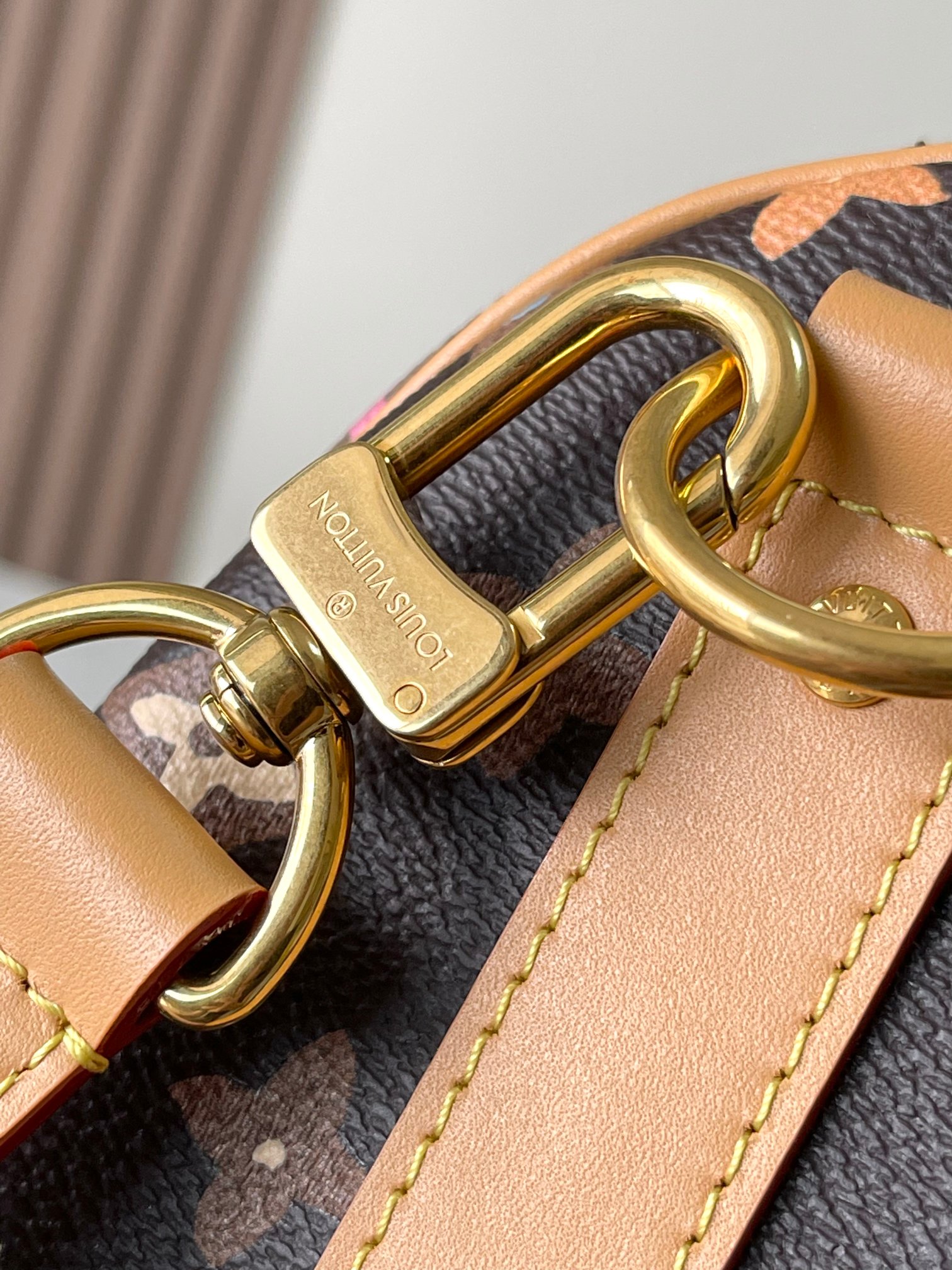 LV Bag
