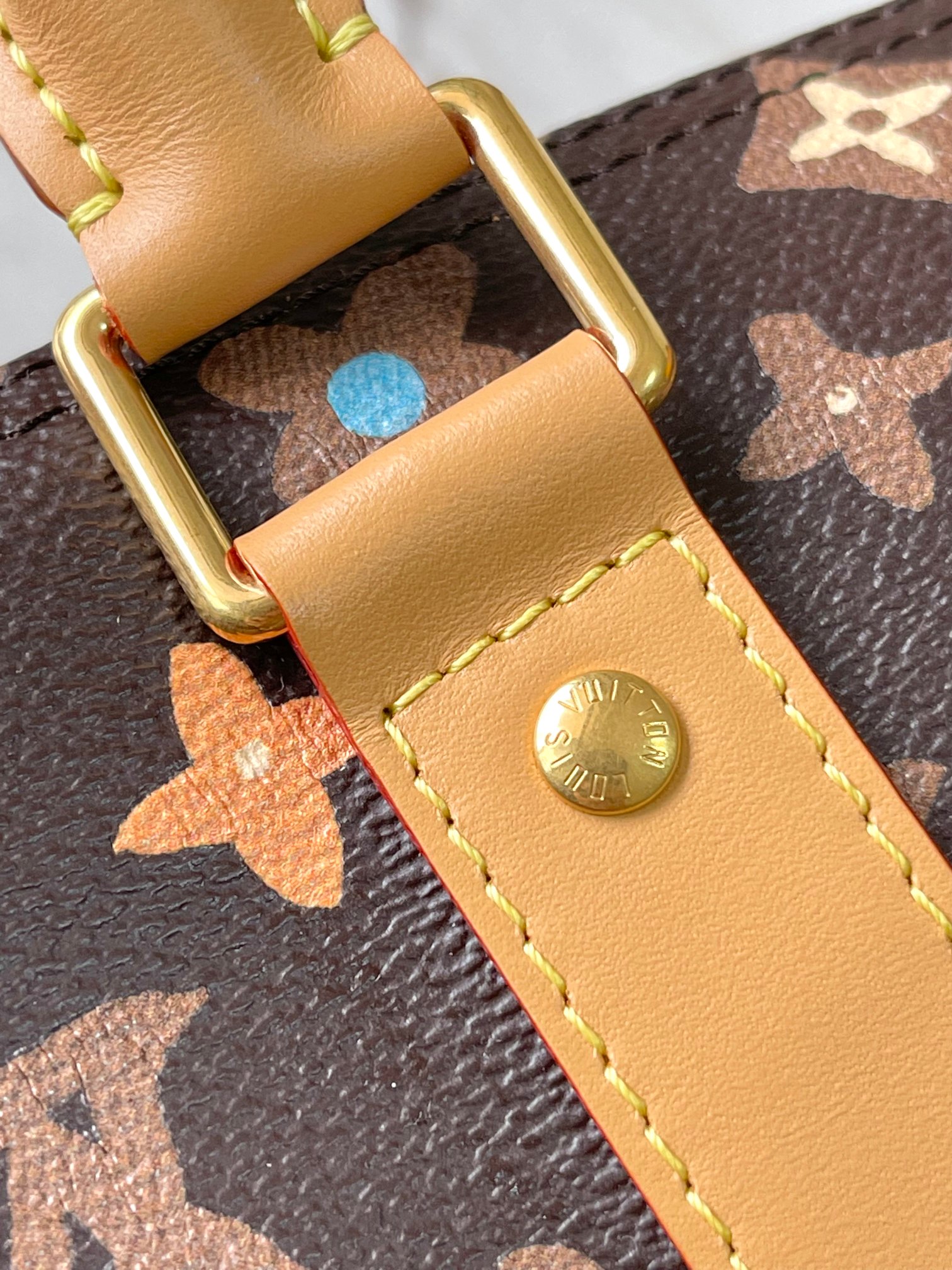 LV Bag