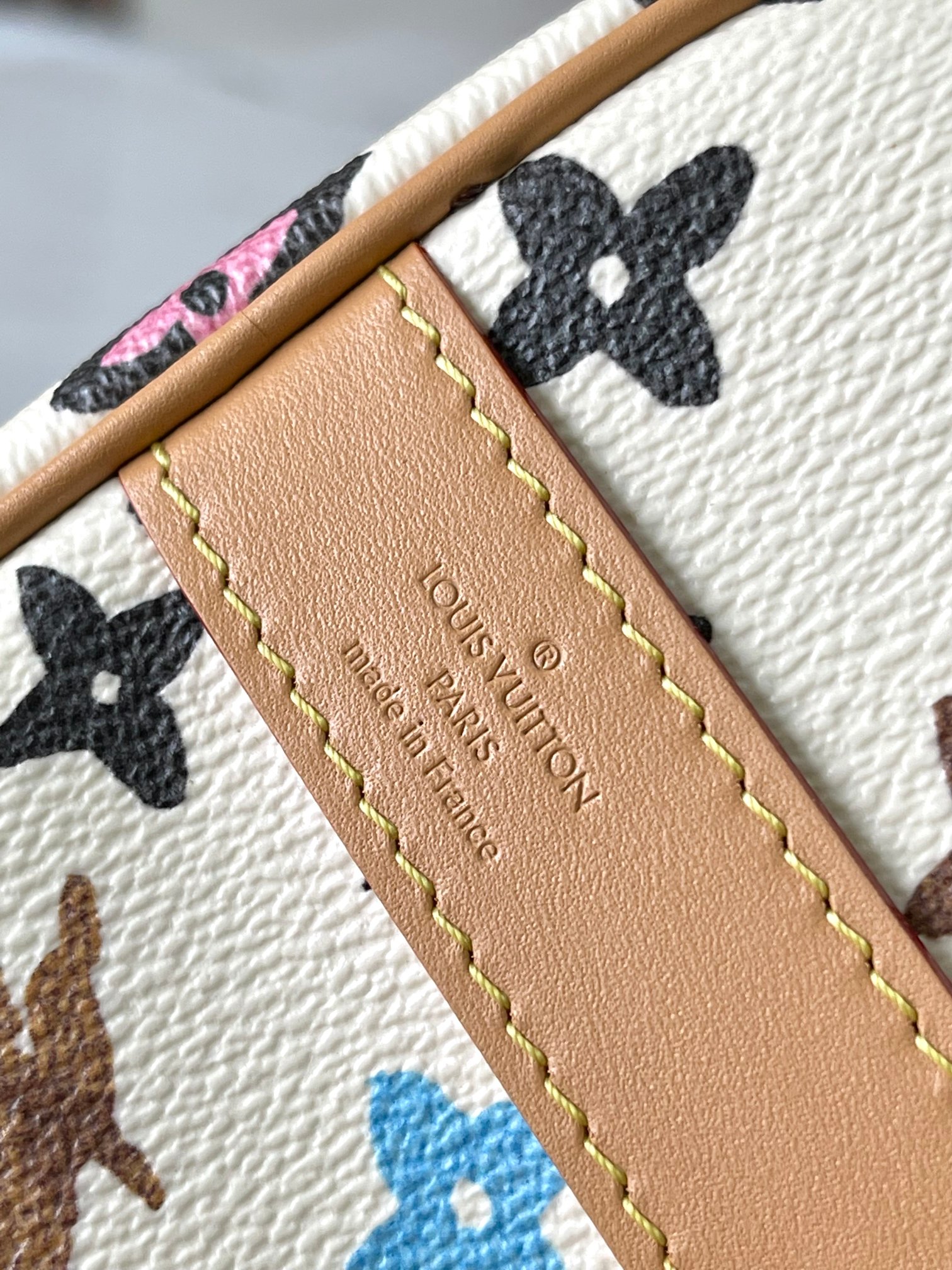 LV Bag