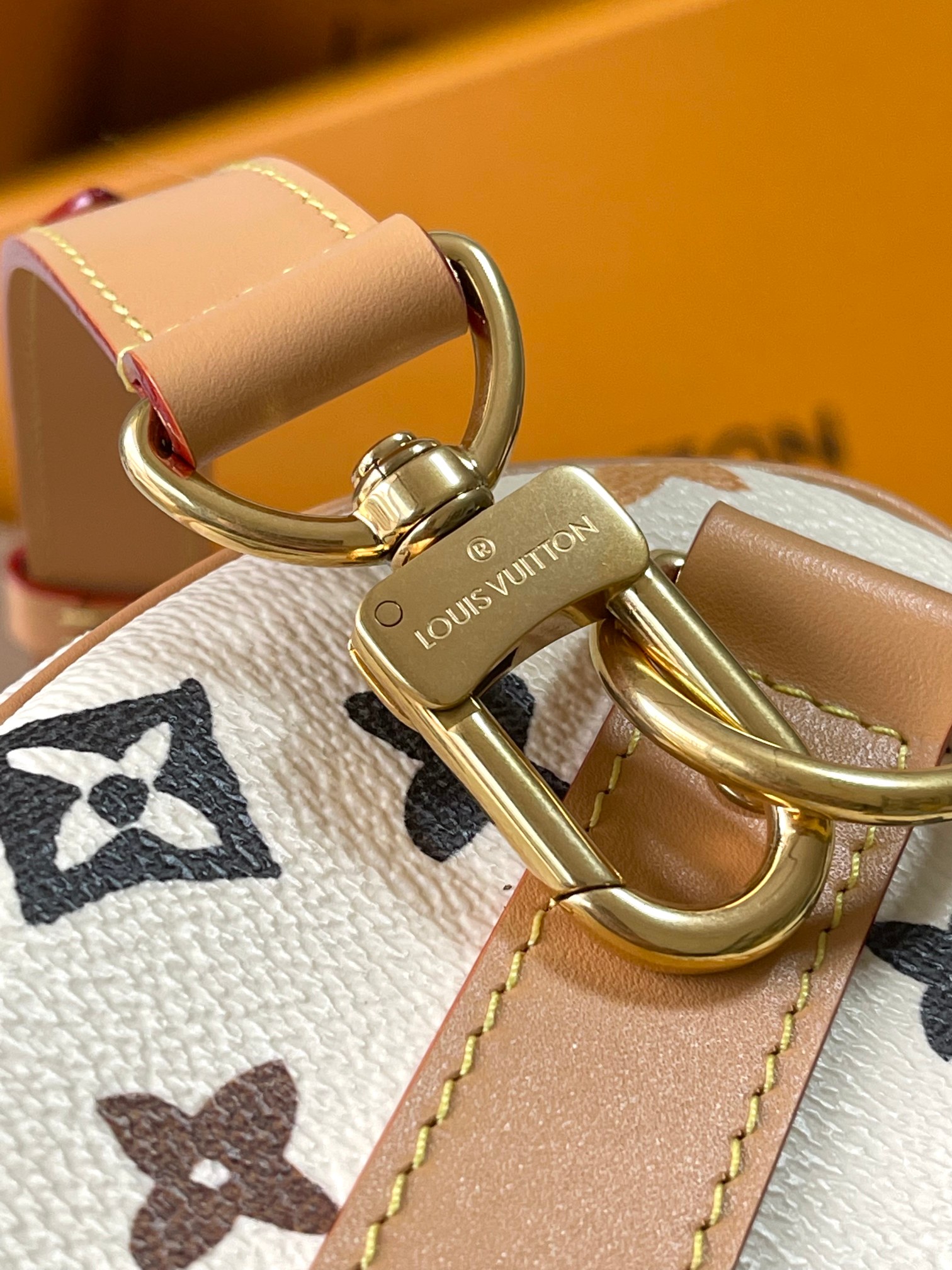 LV Bag