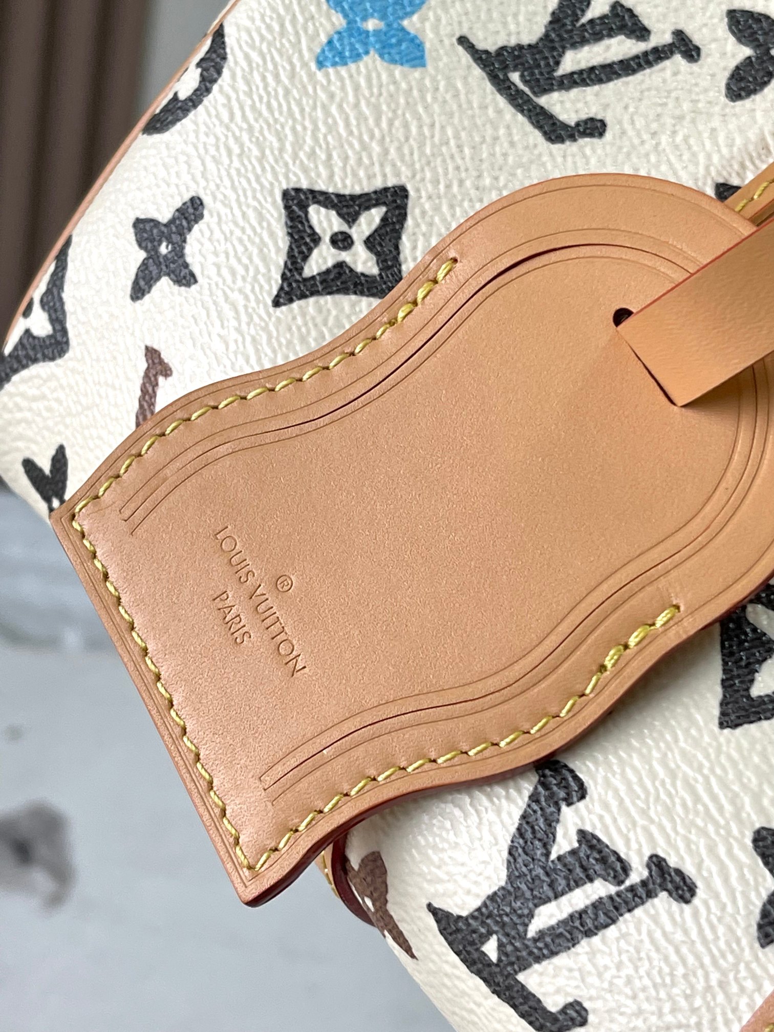LV Bag
