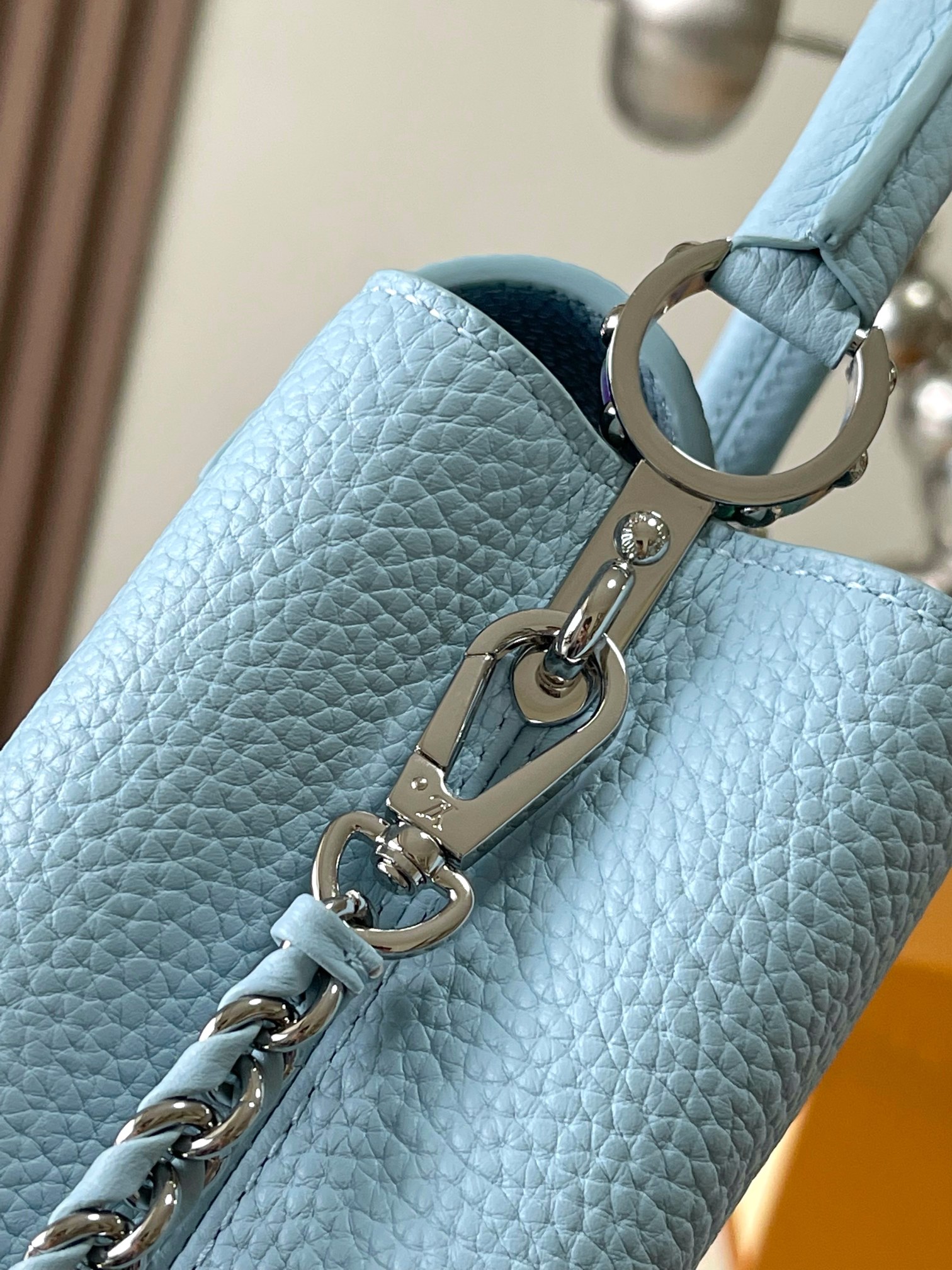 LV Bag