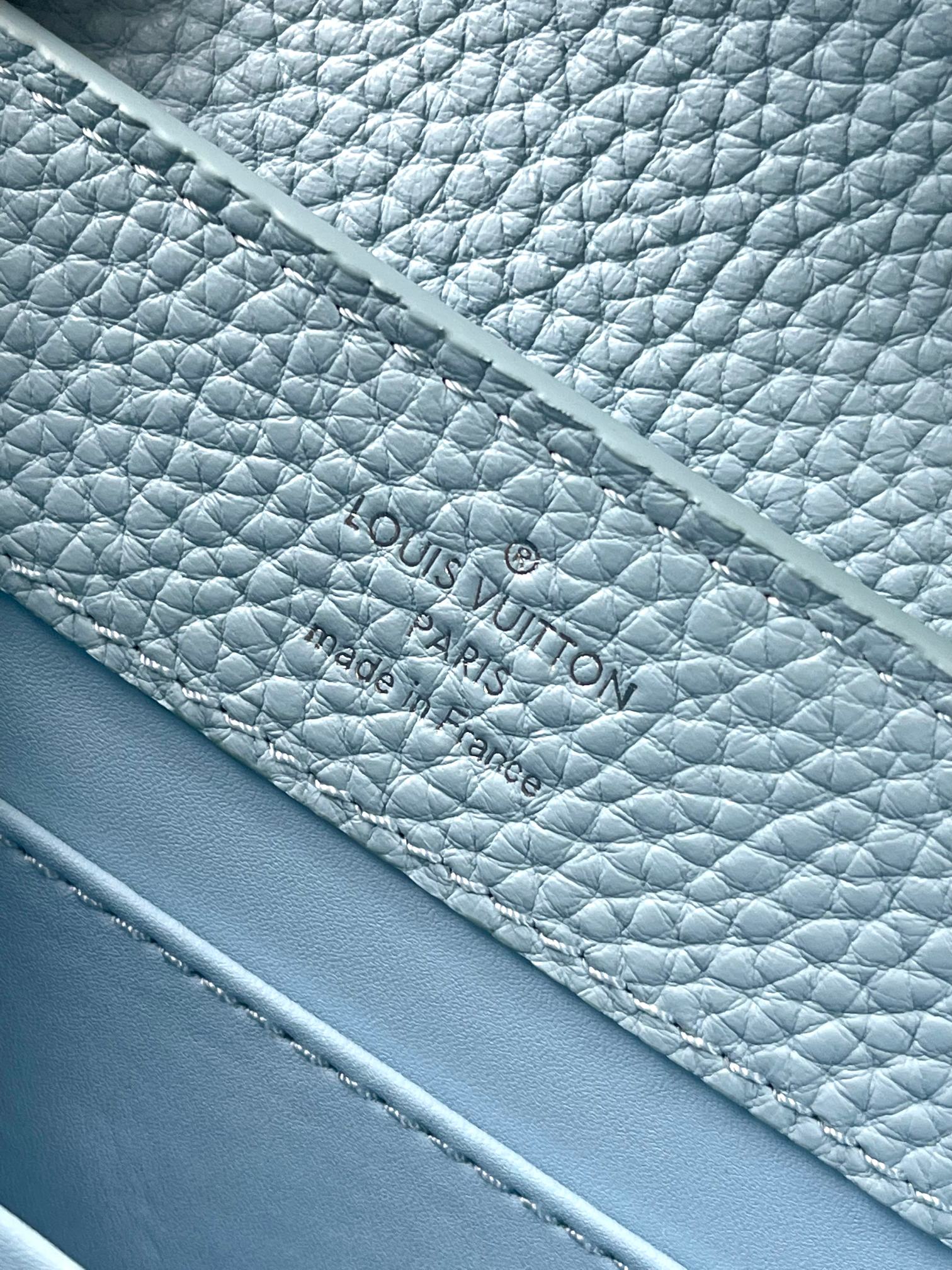 LV Bag