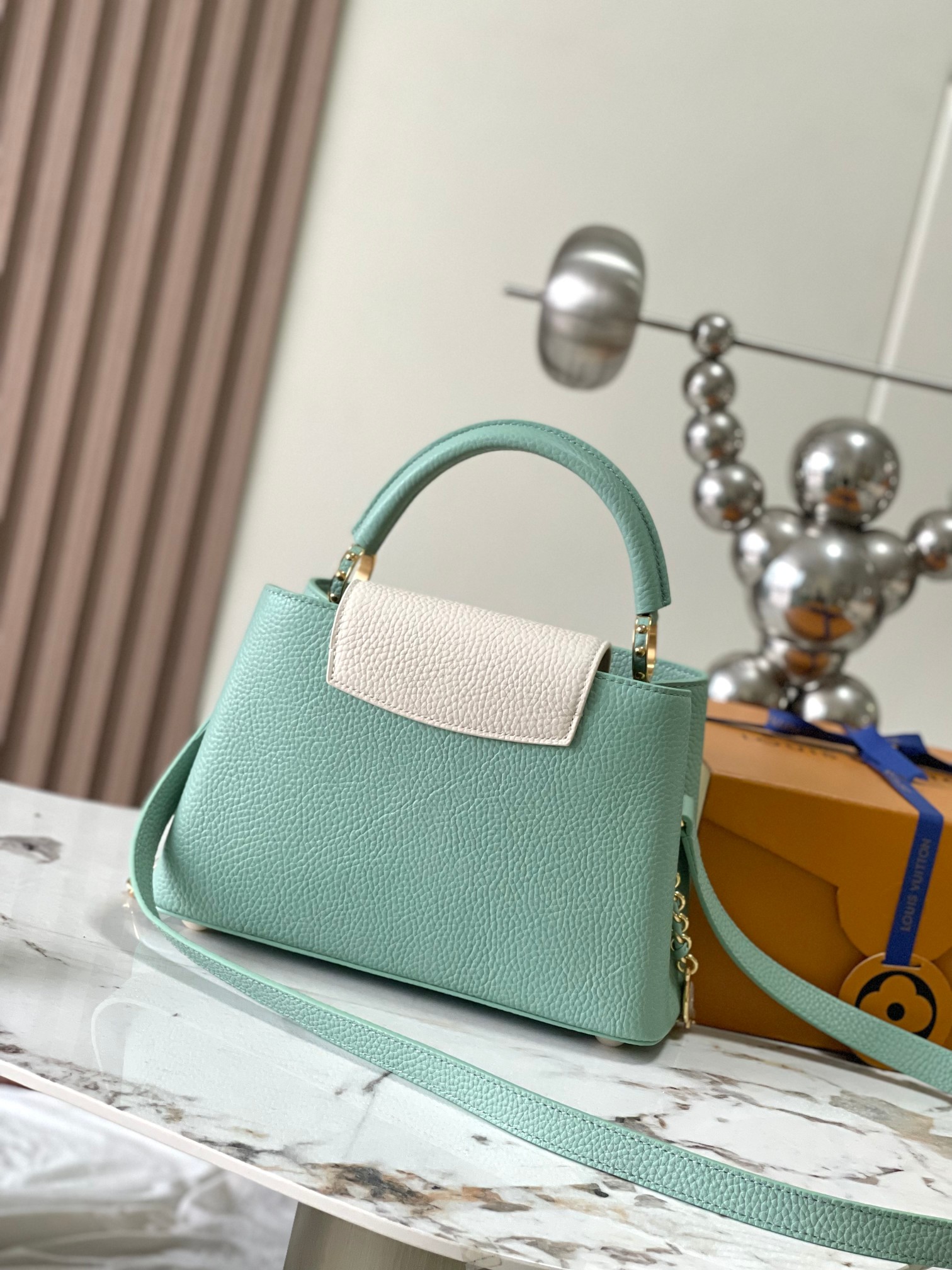 LV Bag