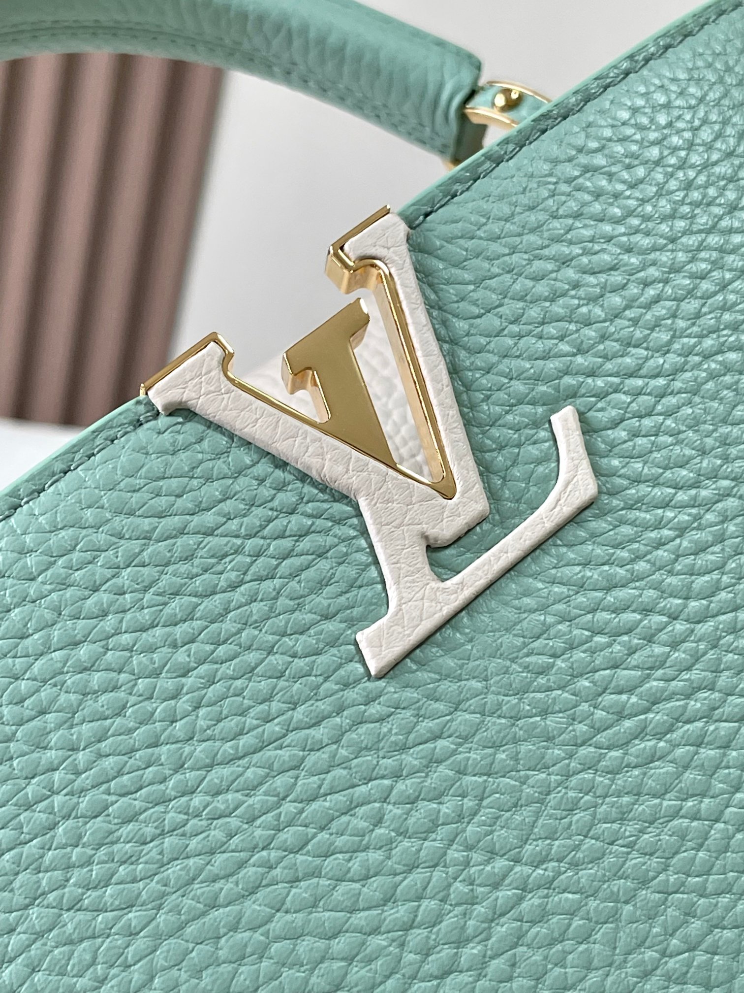 LV Bag