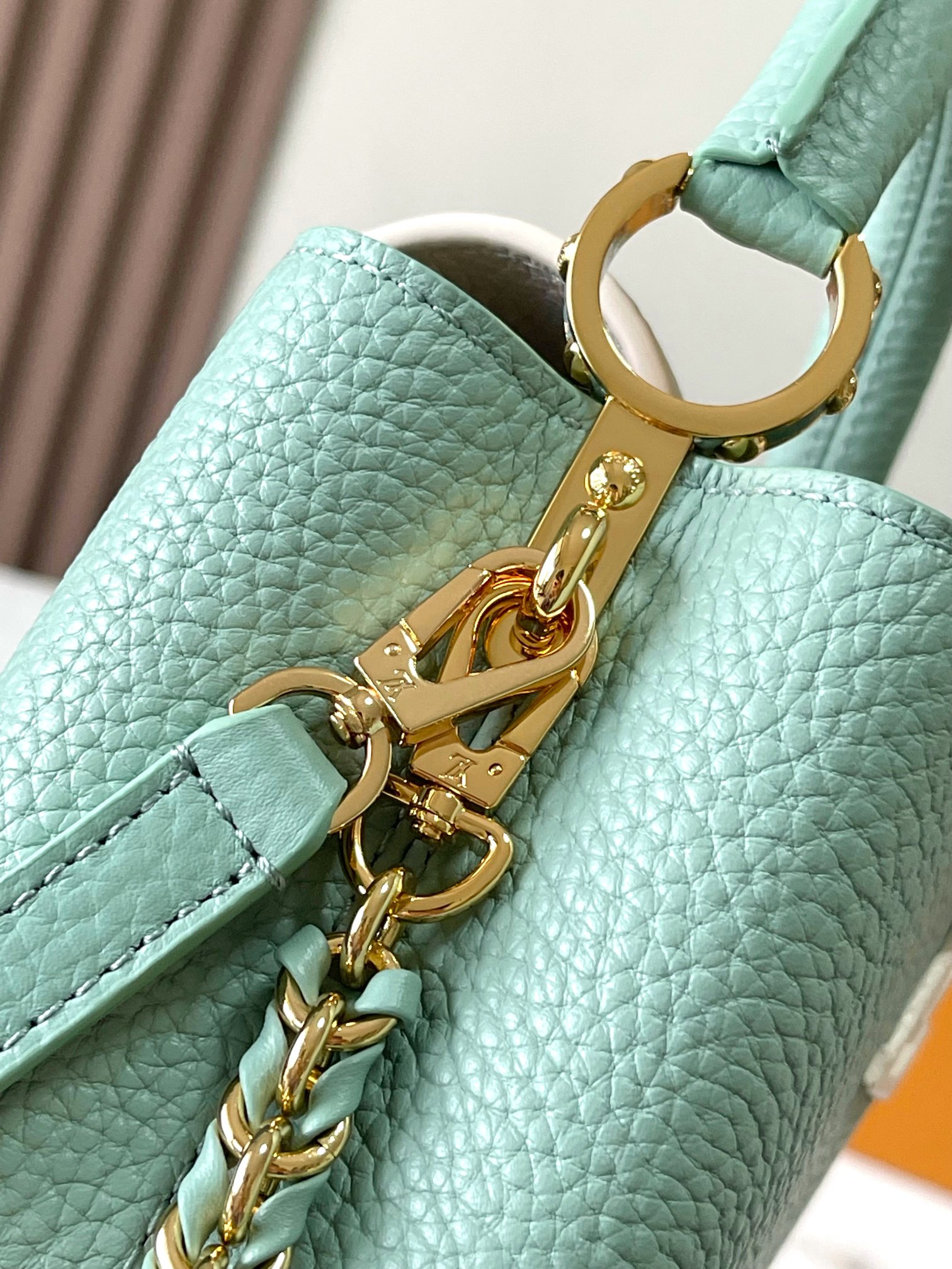 LV Bag