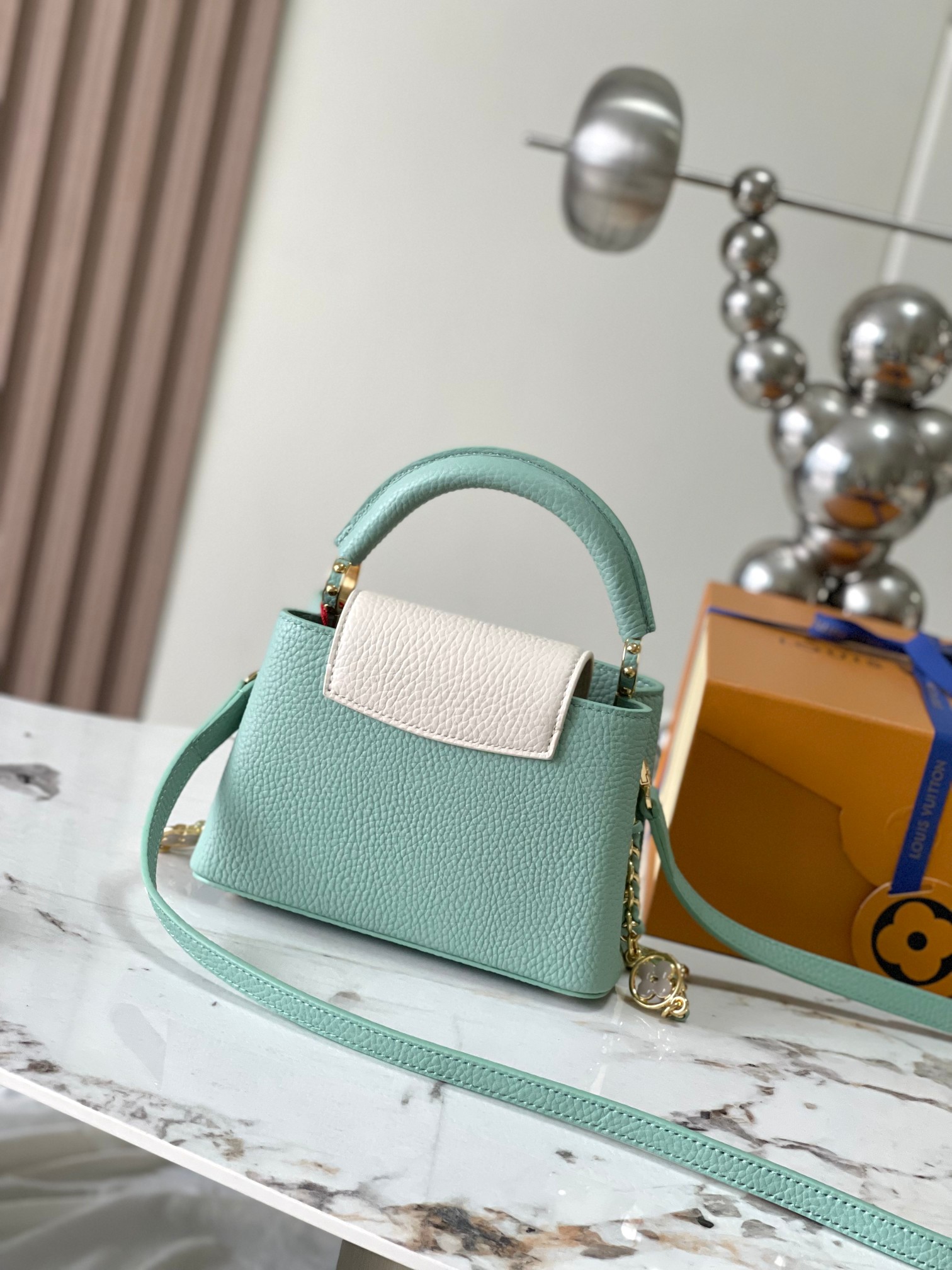 LV Bag