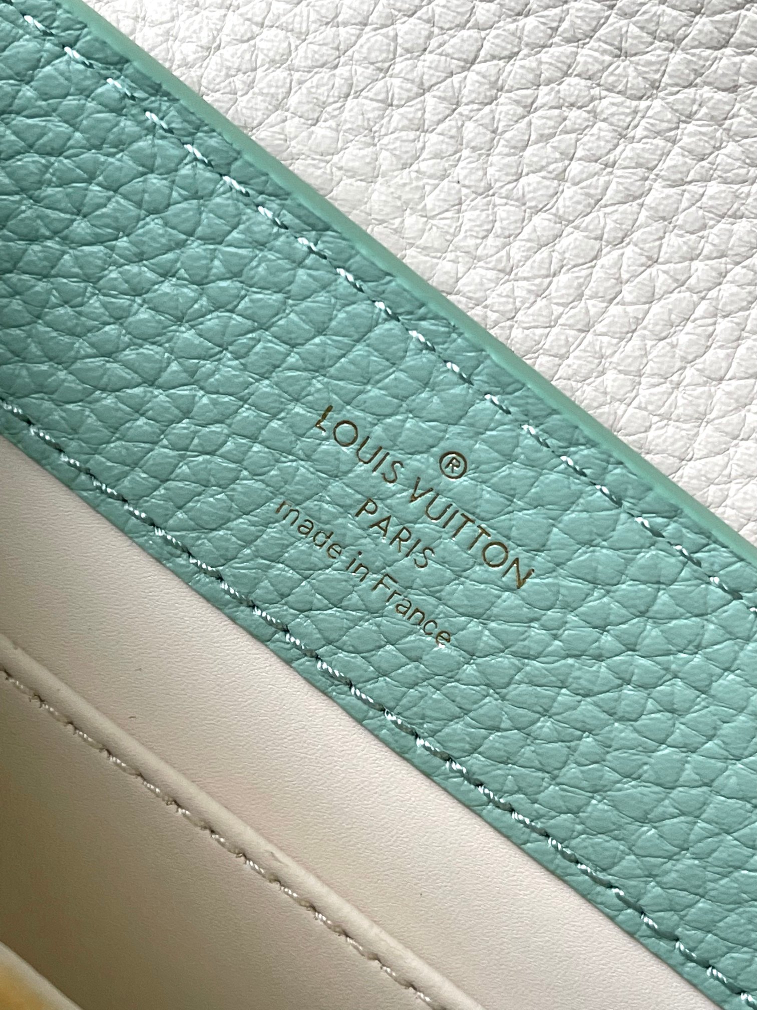 LV Bag
