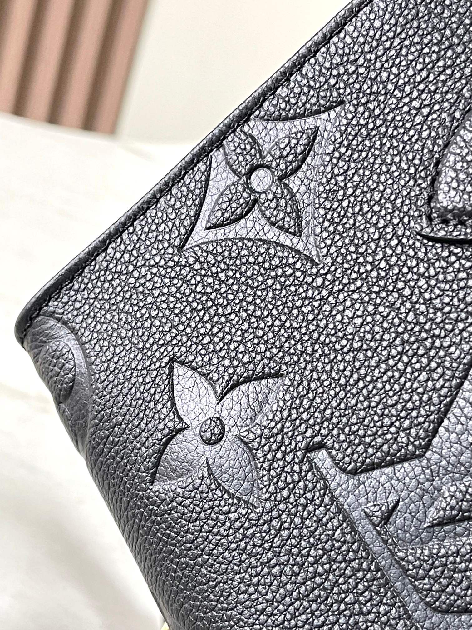 LV Bag