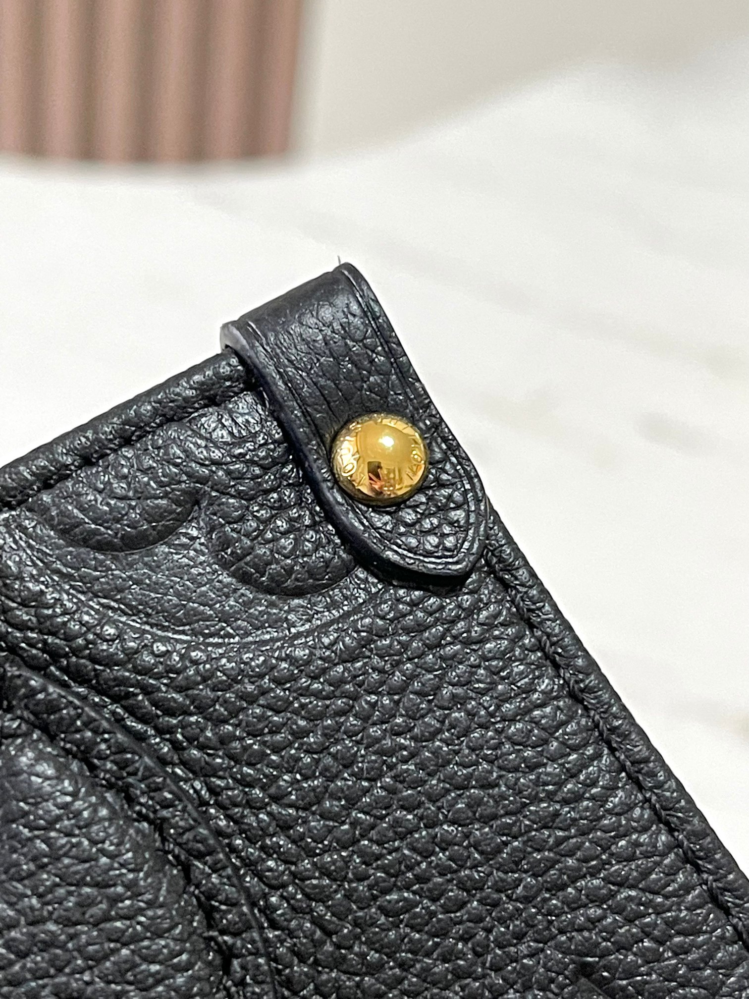 LV Bag