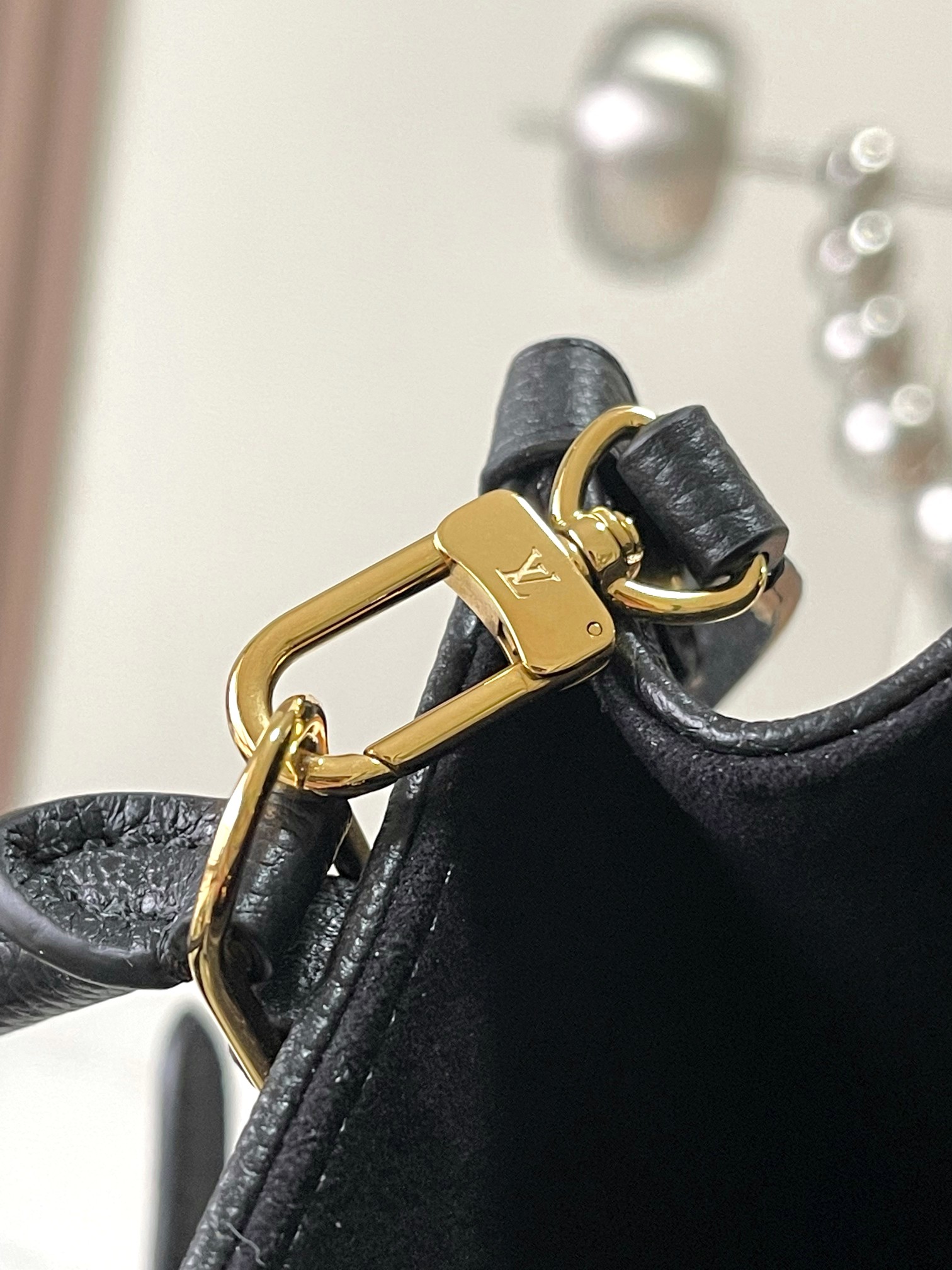LV Bag