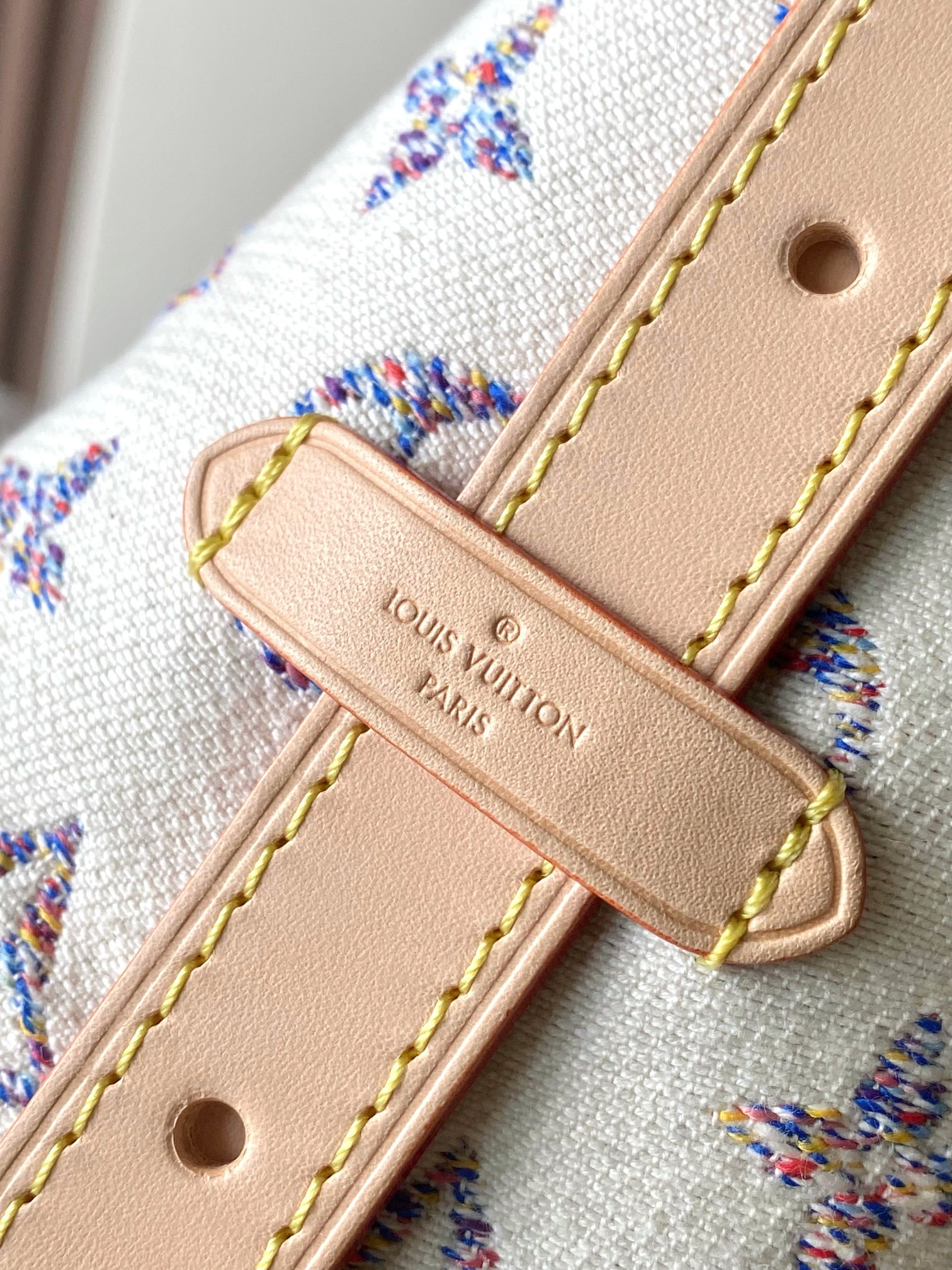 LV Bag